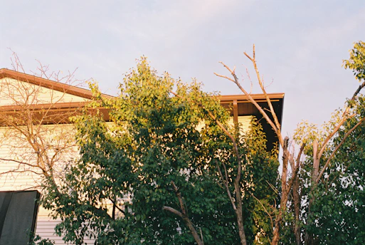 A freshly pressure-washed house siding shining under the Florida sun.