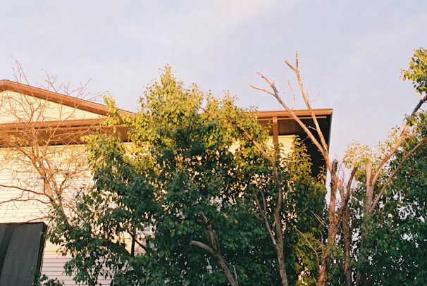 Technician inspecting a cozy family home in Greenbrier for pests on a sunny day.
