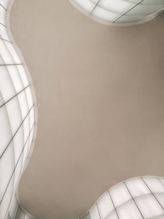 Curved multi-plane stretch ceiling with soft acoustic panels in a cozy office space.