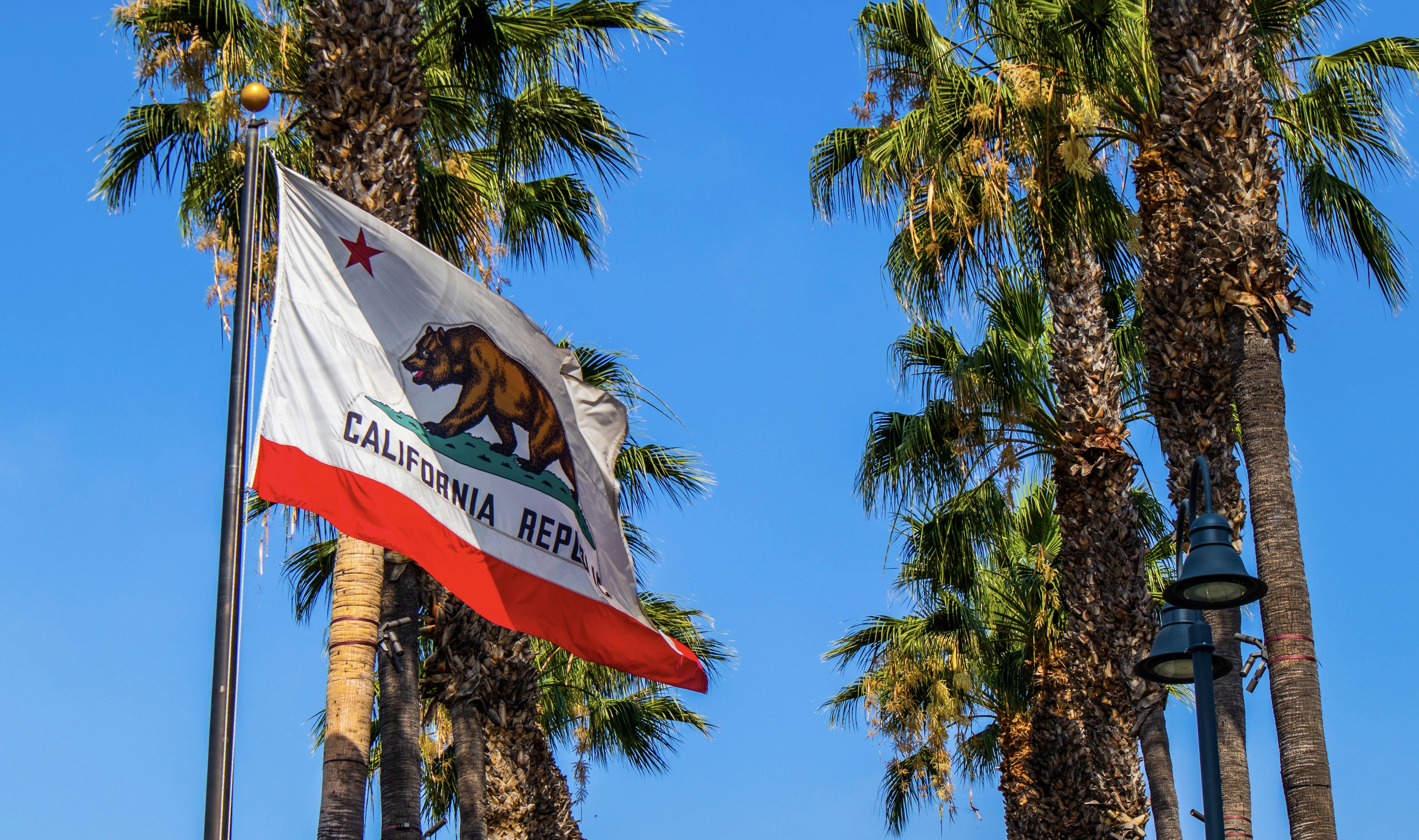 Is THCa Legal in California? 2025 Guide & Overview