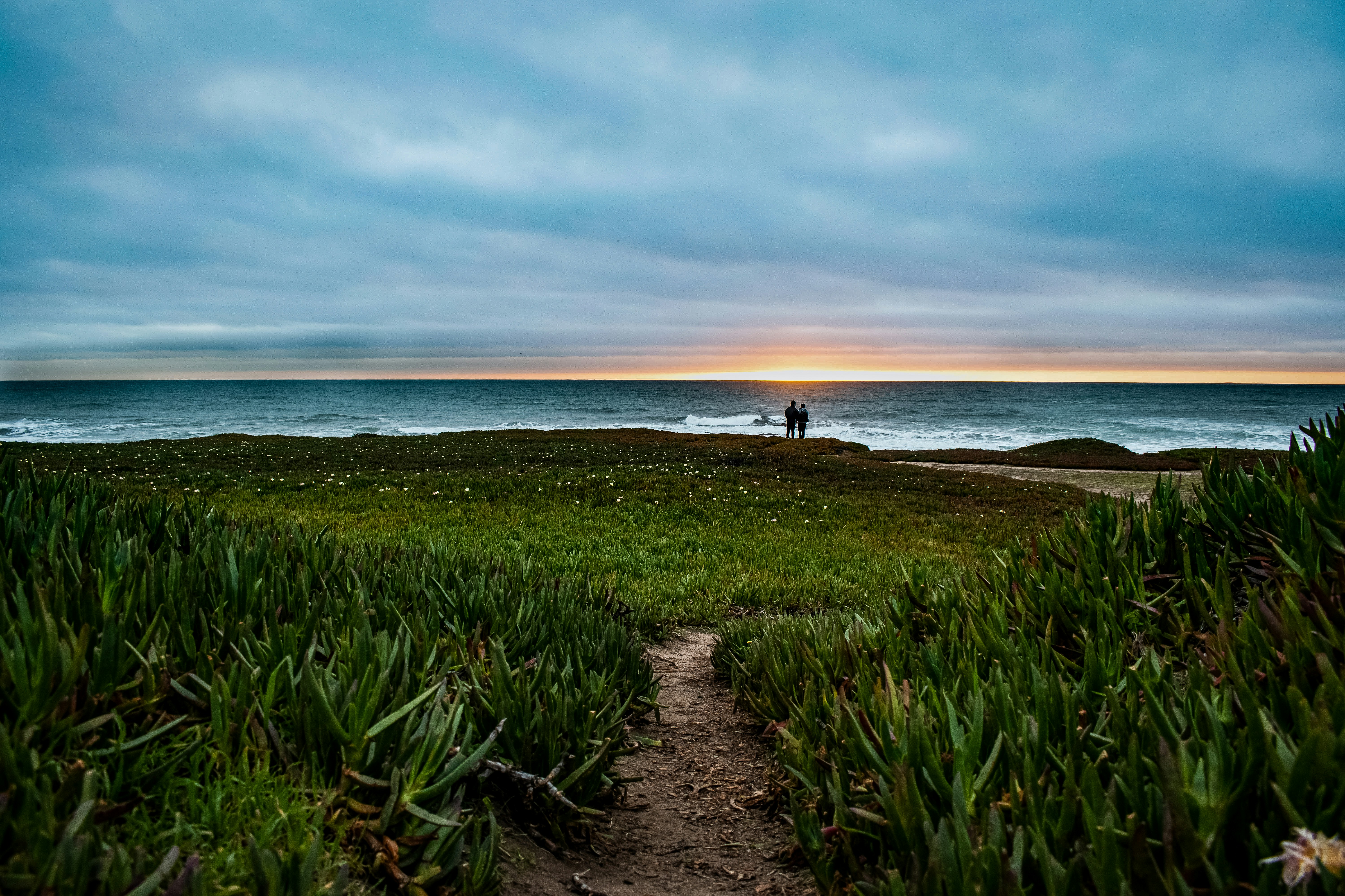 a couple of people standing on top of a lush green field