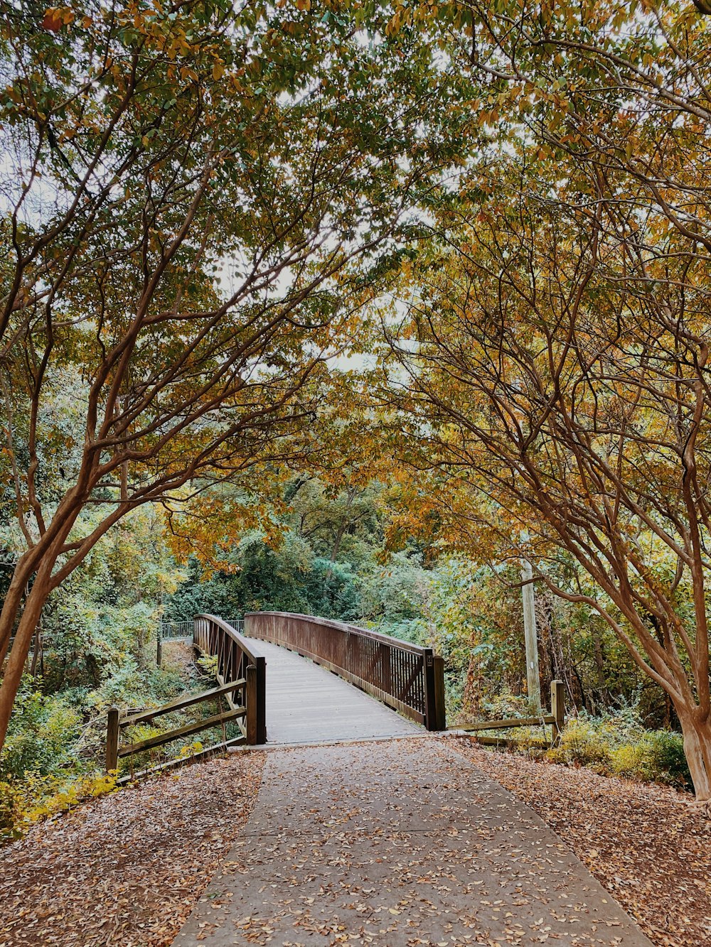 a wooden bridge surrounded by trees and leaves