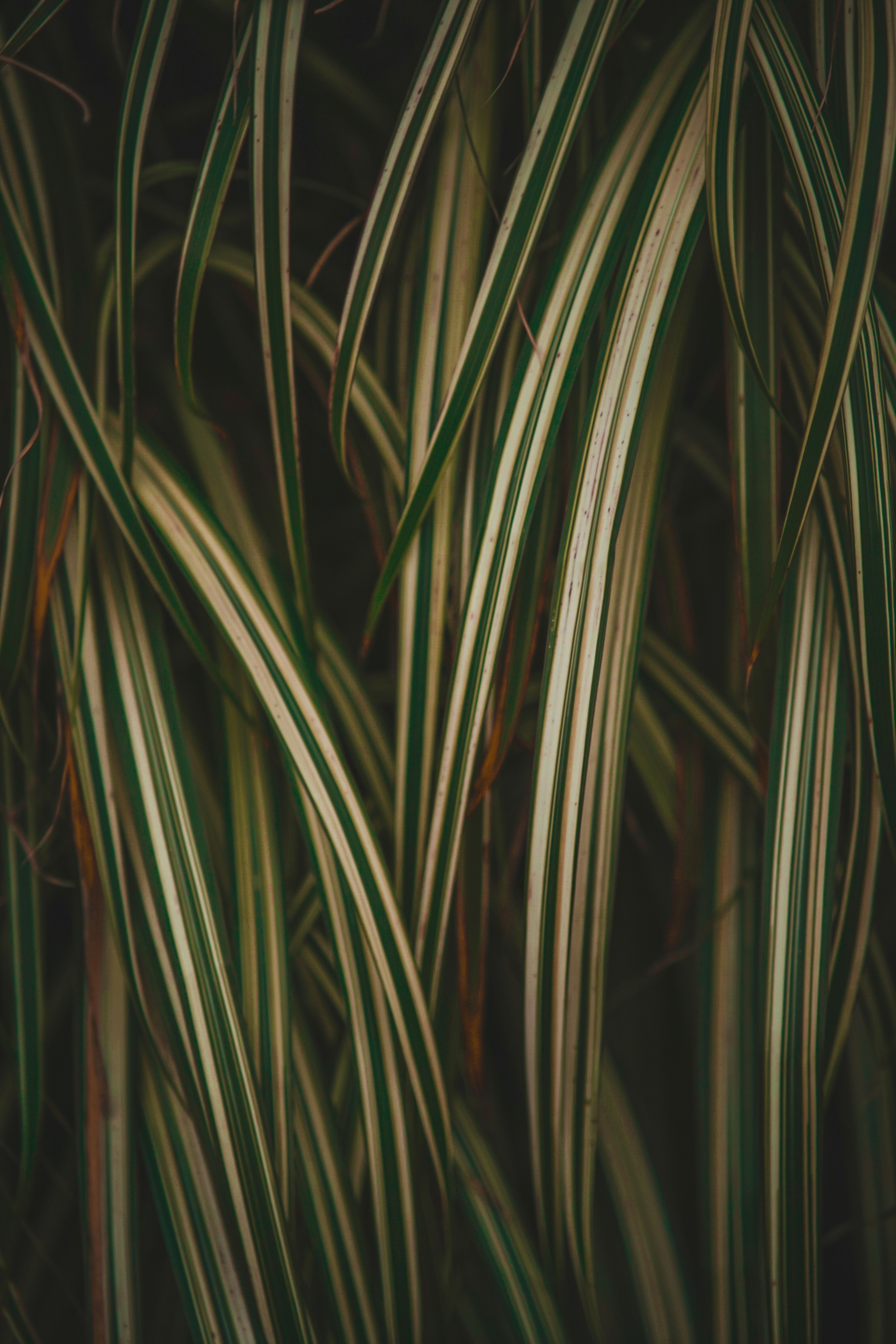 Photo by iprefermike