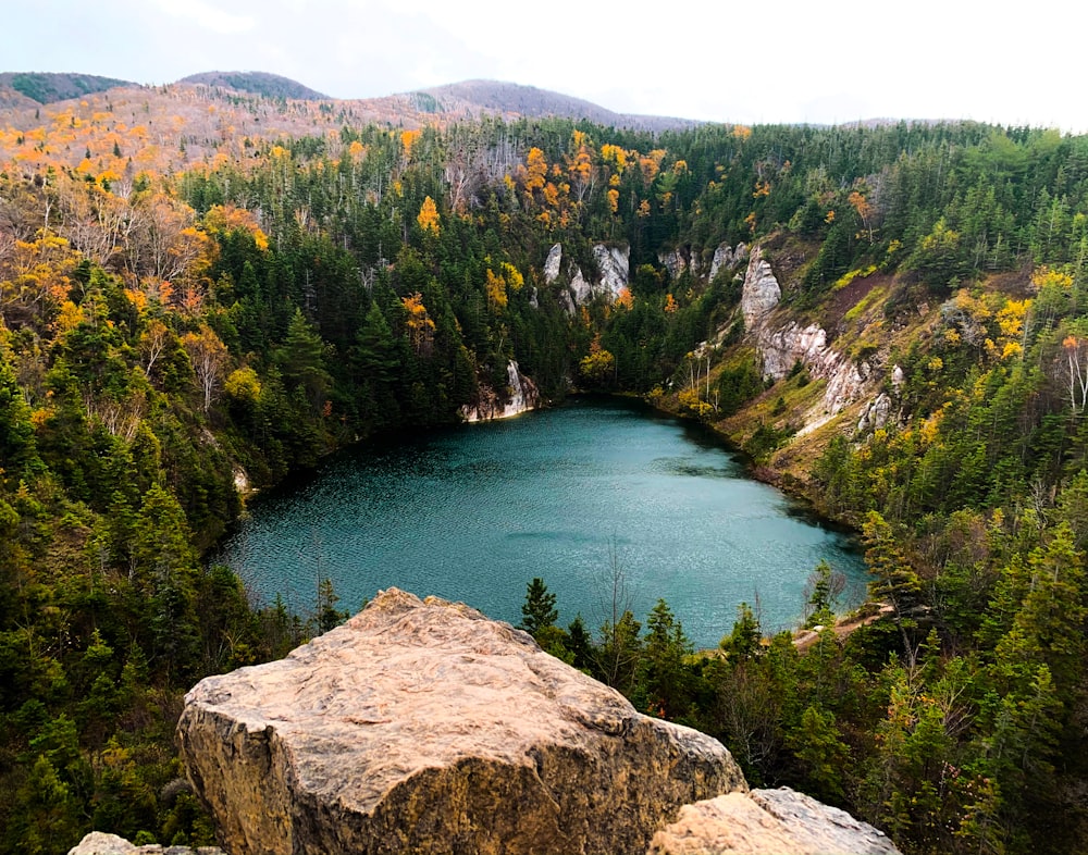 un lac entouré d’arbres au milieu d’une forêt