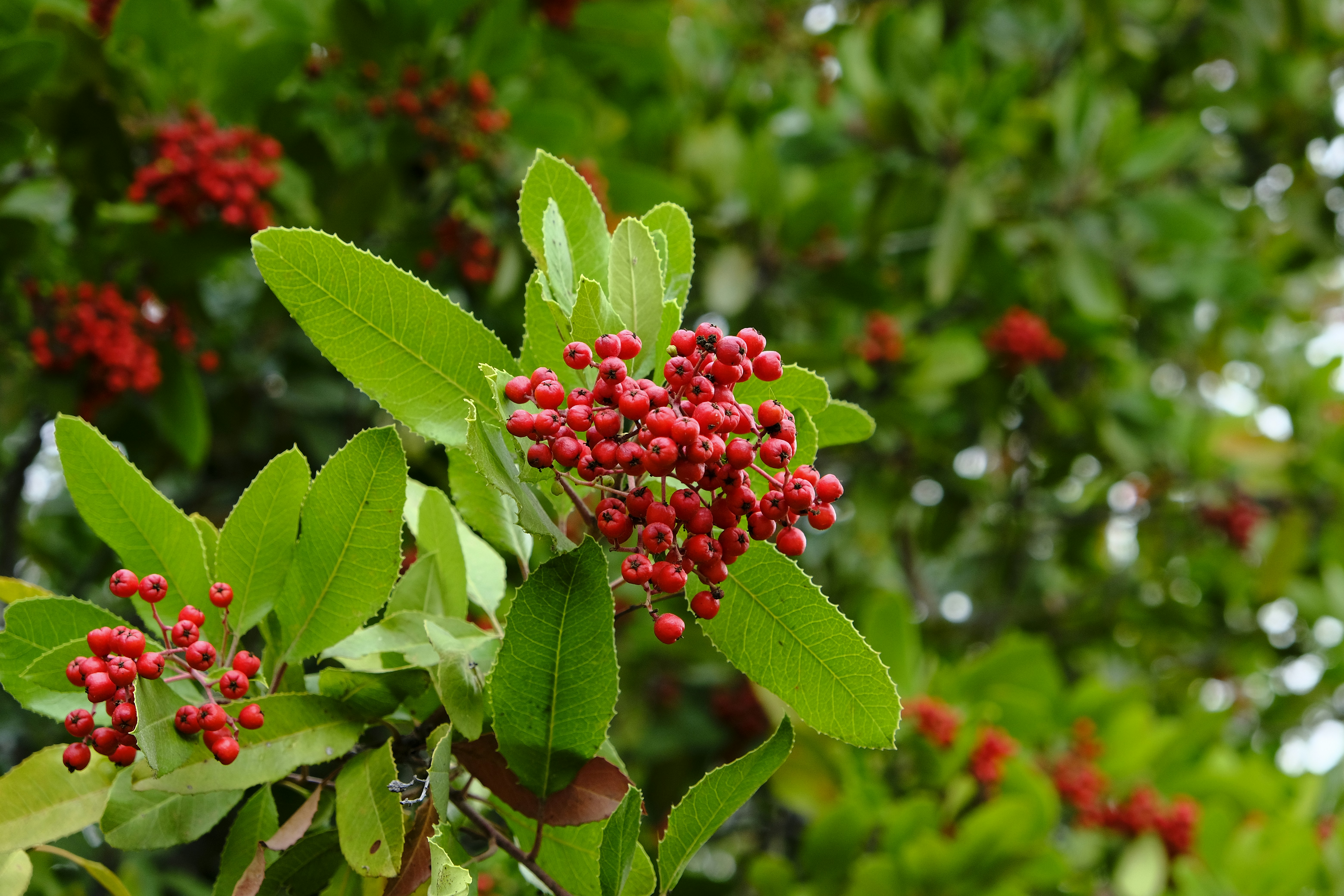 Photo by chandleraitchison