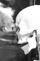 a fake human skull hanging from a pole