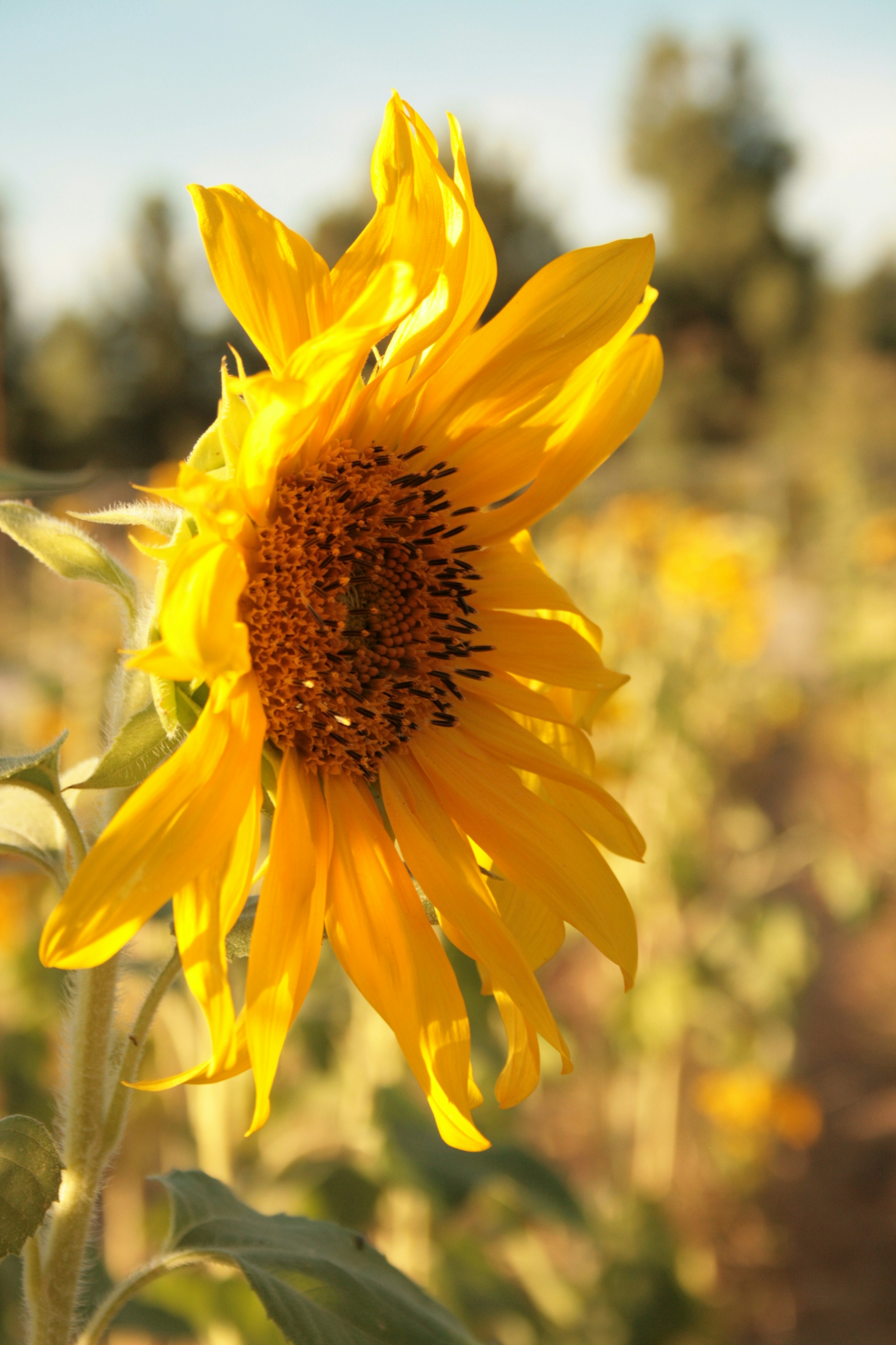 Photo by ihavegoodnews