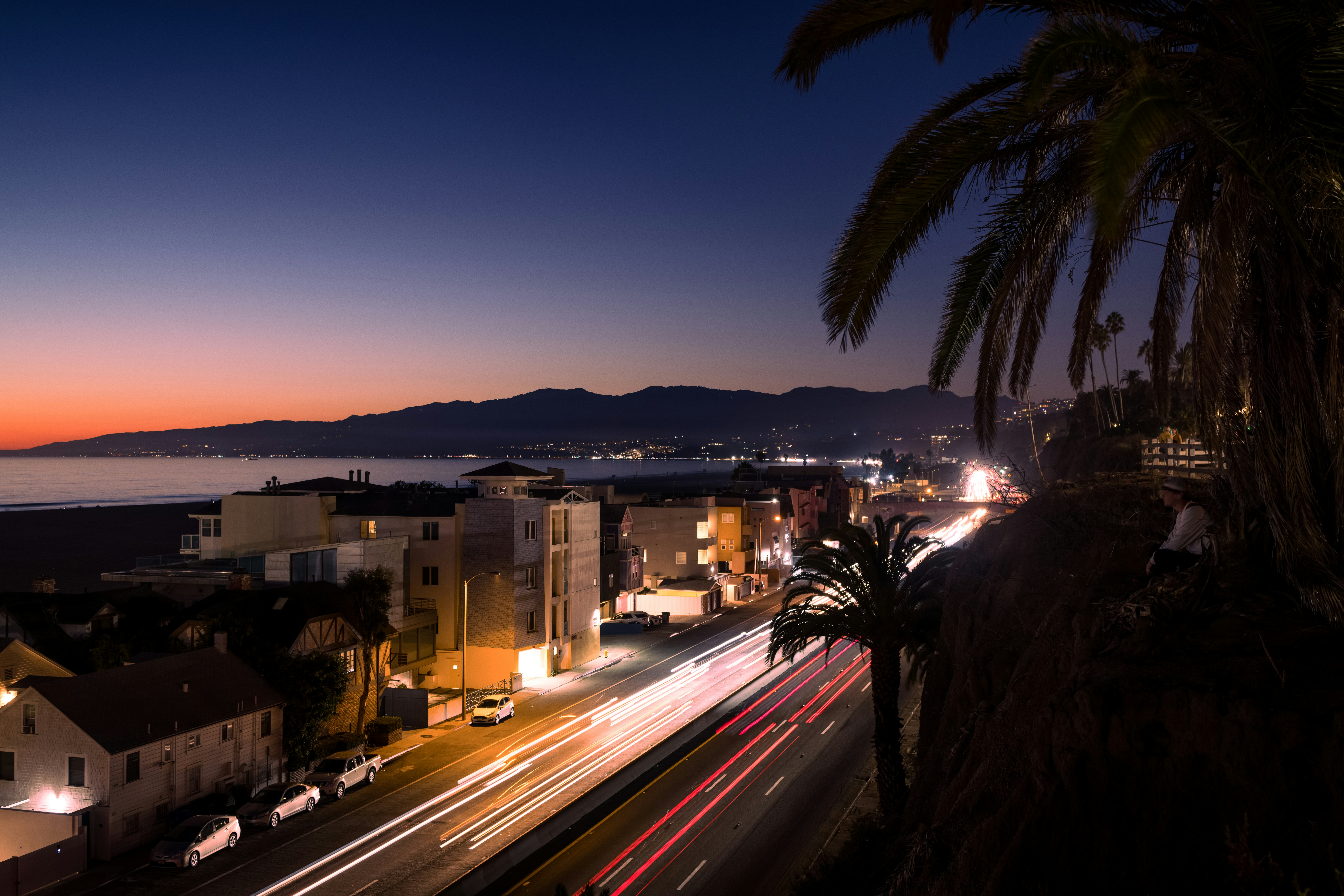 a city street at night with a palm tree in the foreground
