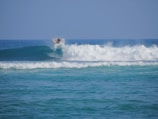 A surfer skillfully rides a wave, catching air as they maneuver their board above the crest. The ocean is vibrant with shades of blue, and the waves create a sense of motion and energy.