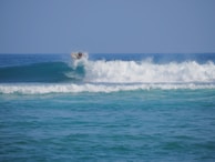 A surfer skillfully rides a wave, catching air as they maneuver their board above the crest. The ocean is vibrant with shades of blue, and the waves create a sense of motion and energy.