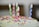 A joyful family celebrating a birthday with colorful decorations.