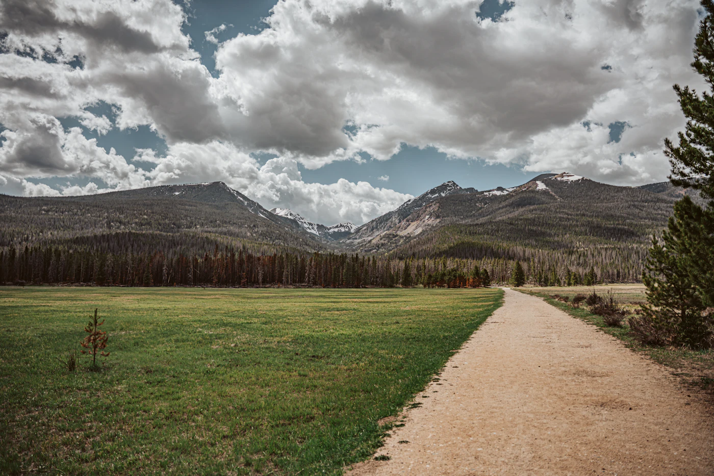 Trail through meadow with Rocky Mountain National Park peaks in the background