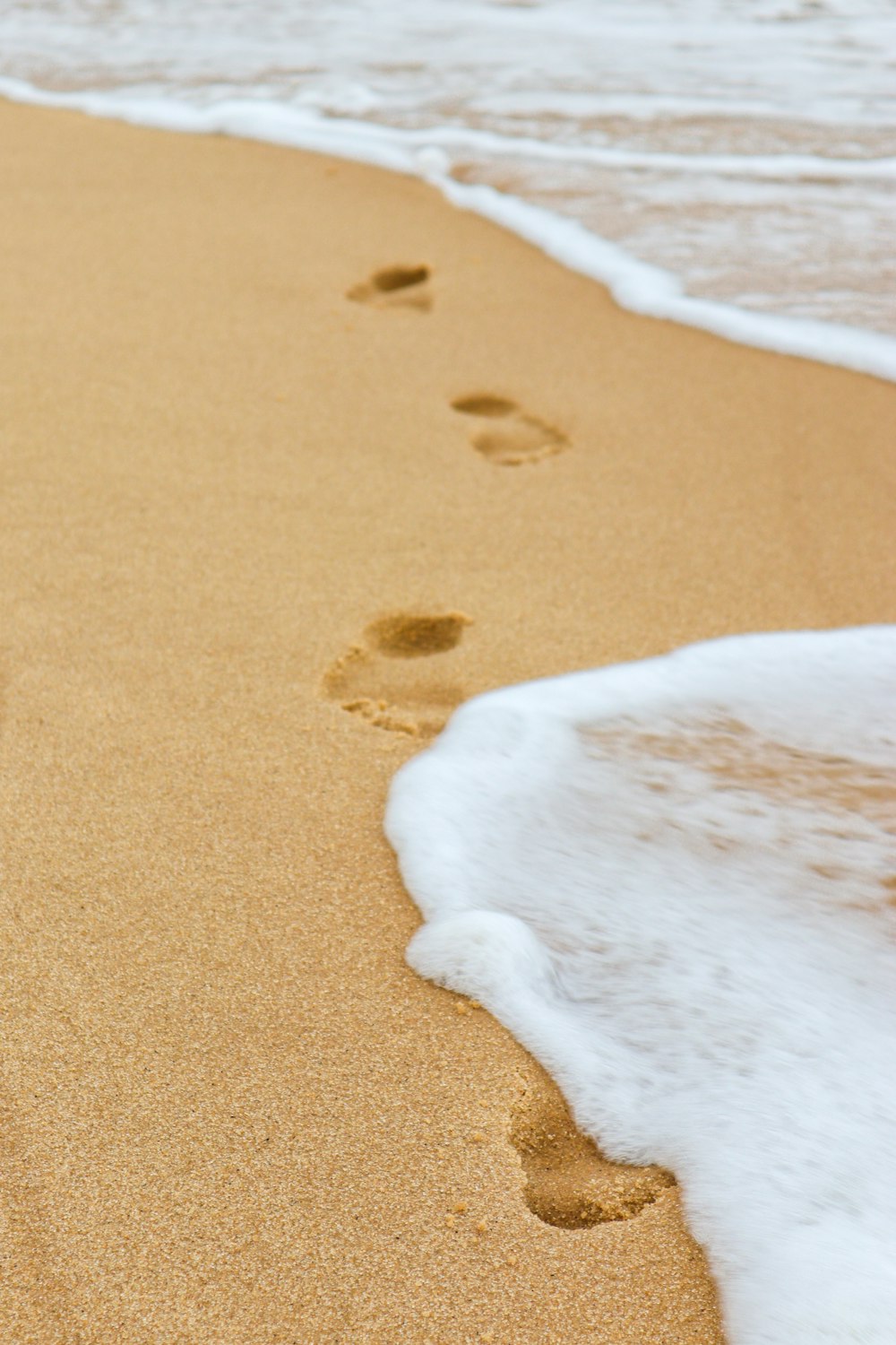 footprints in the sand of a beach next to the ocean