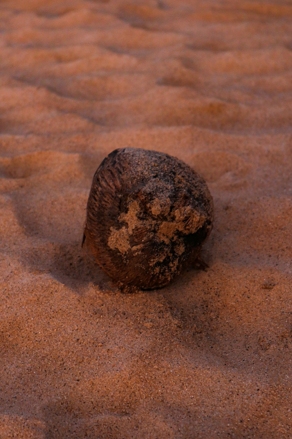 a rock sitting on top of a sandy beach