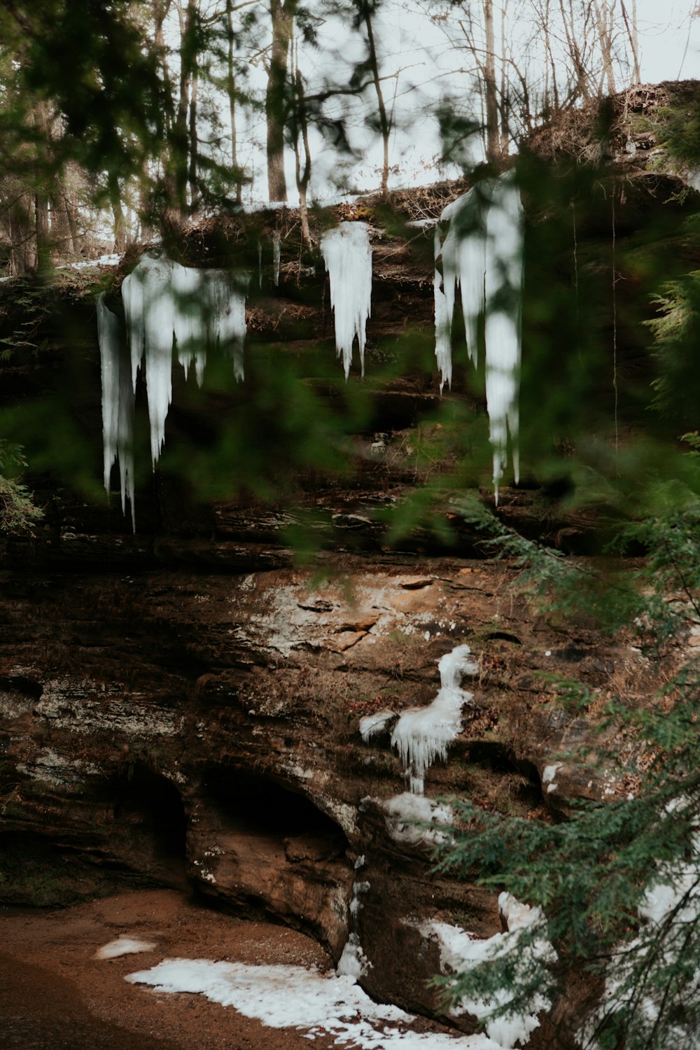 icicles hanging from a cliff in the woods