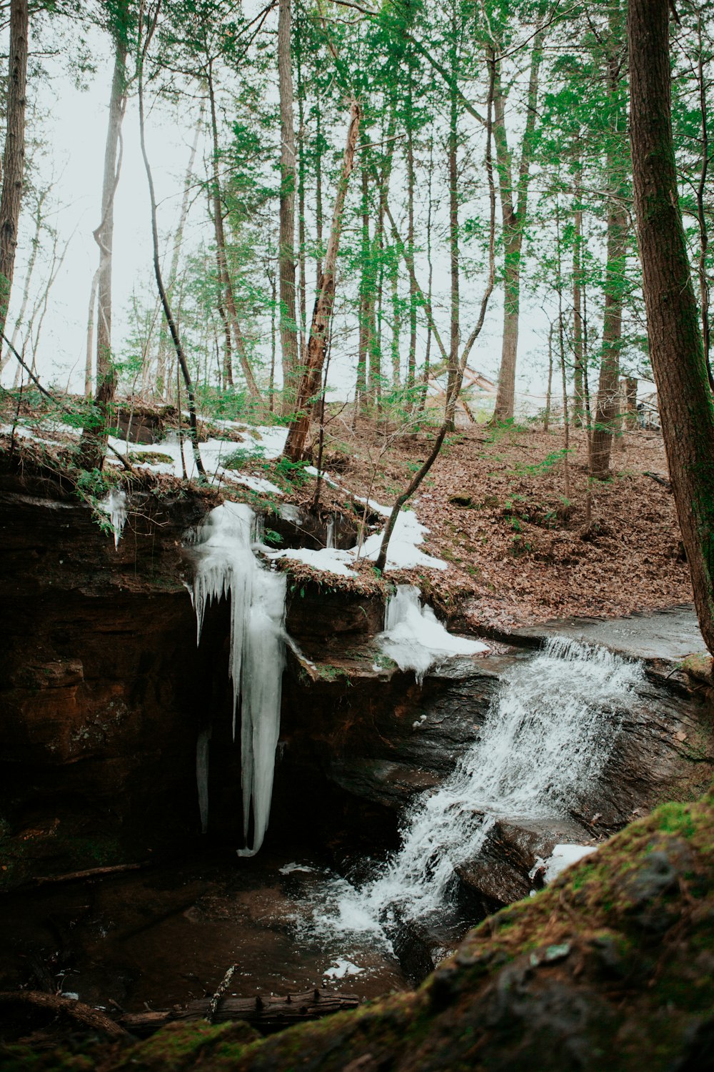 a frozen waterfall in the middle of a forest