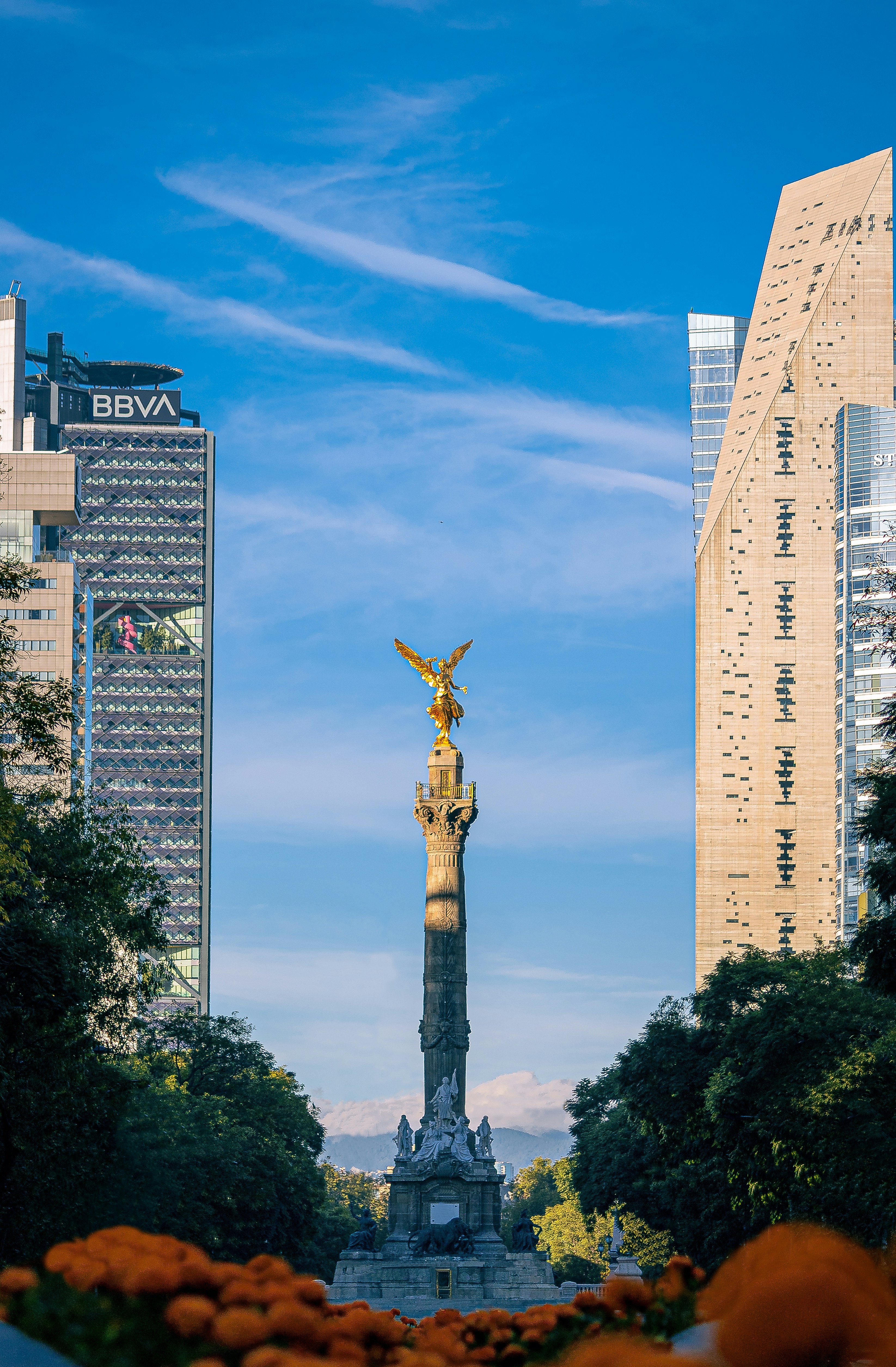 a view of a statue in the middle of a city
