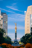 a view of a statue in the middle of a city