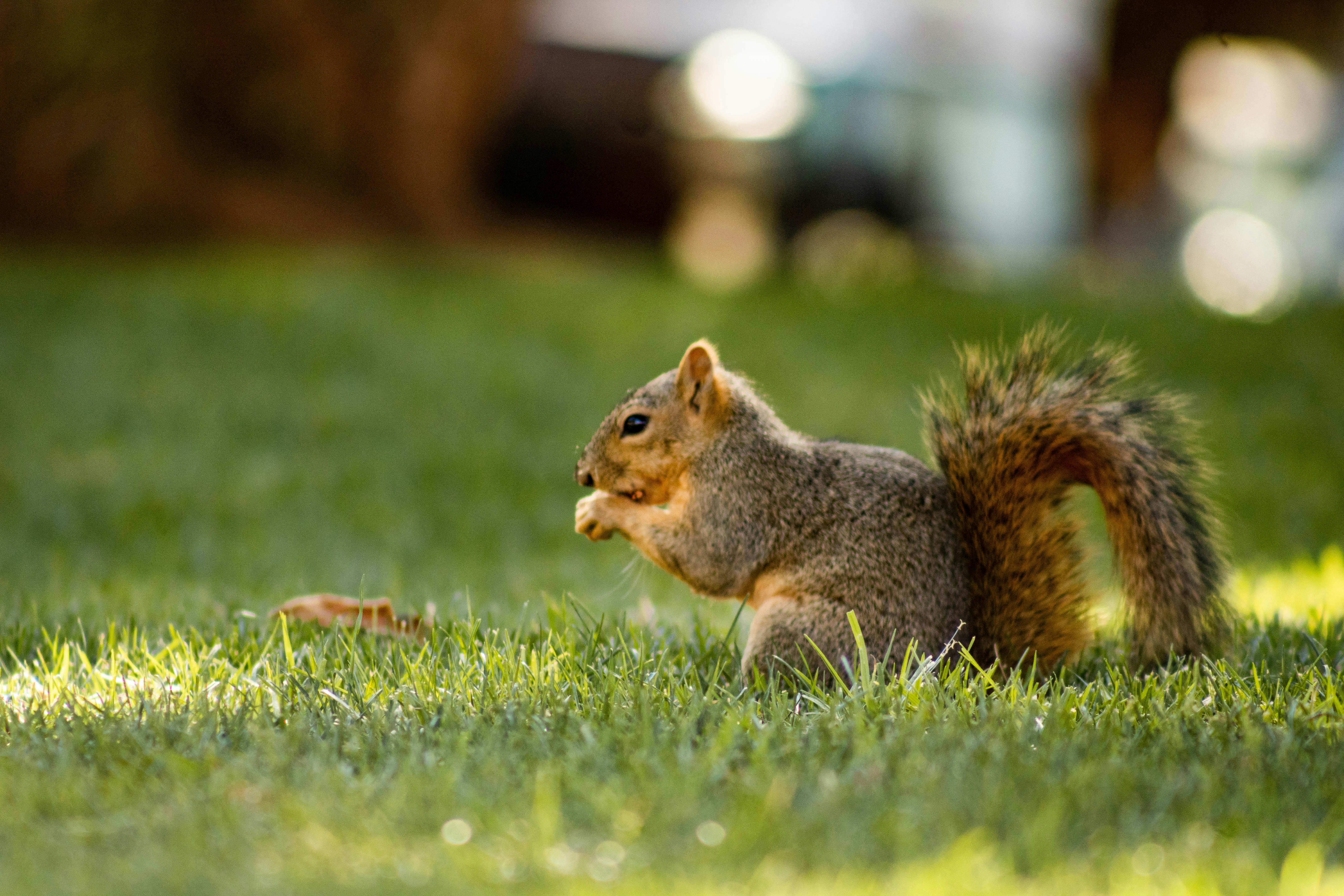 Photo by photography_yeti