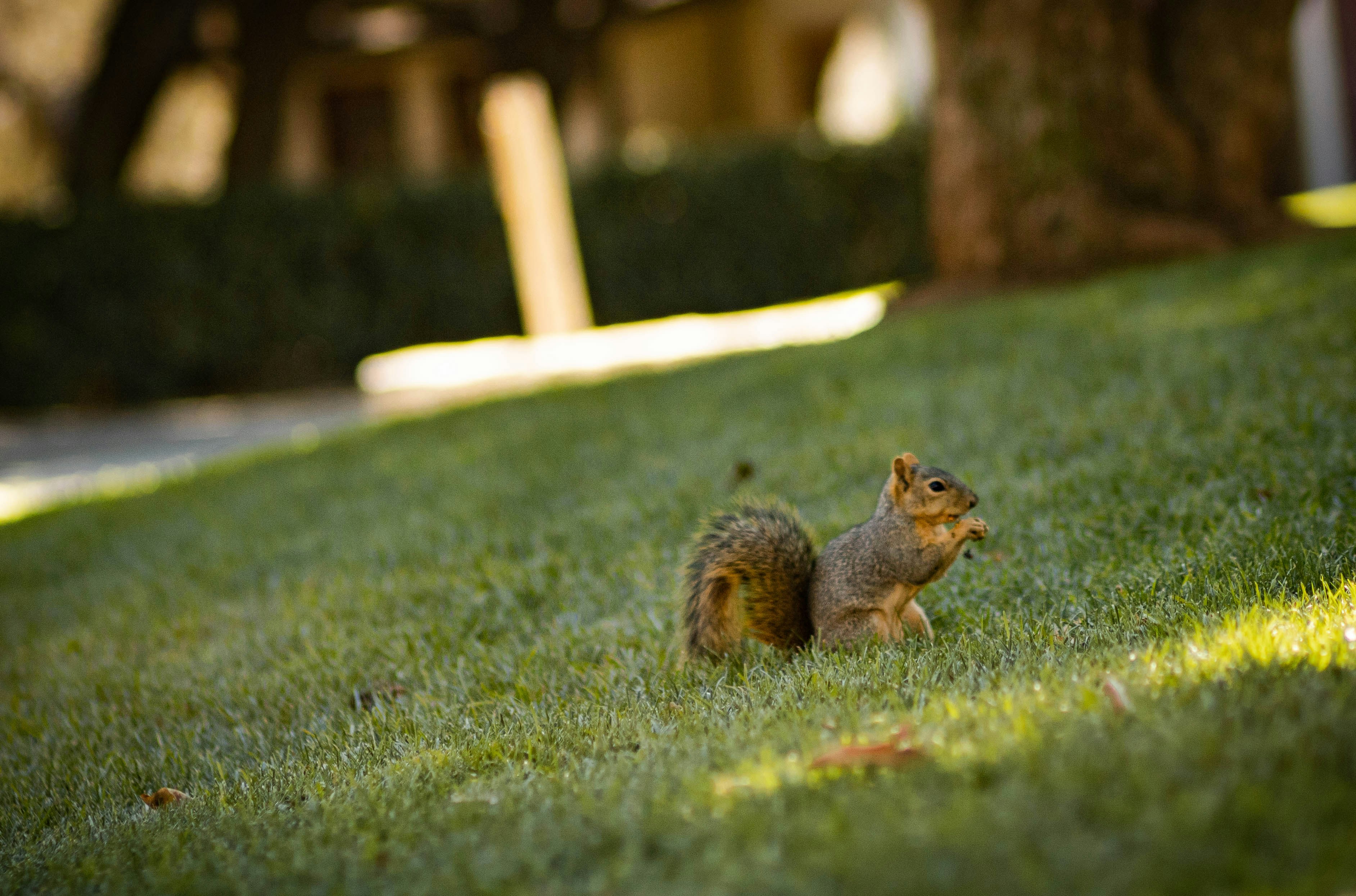 Photo by photography_yeti