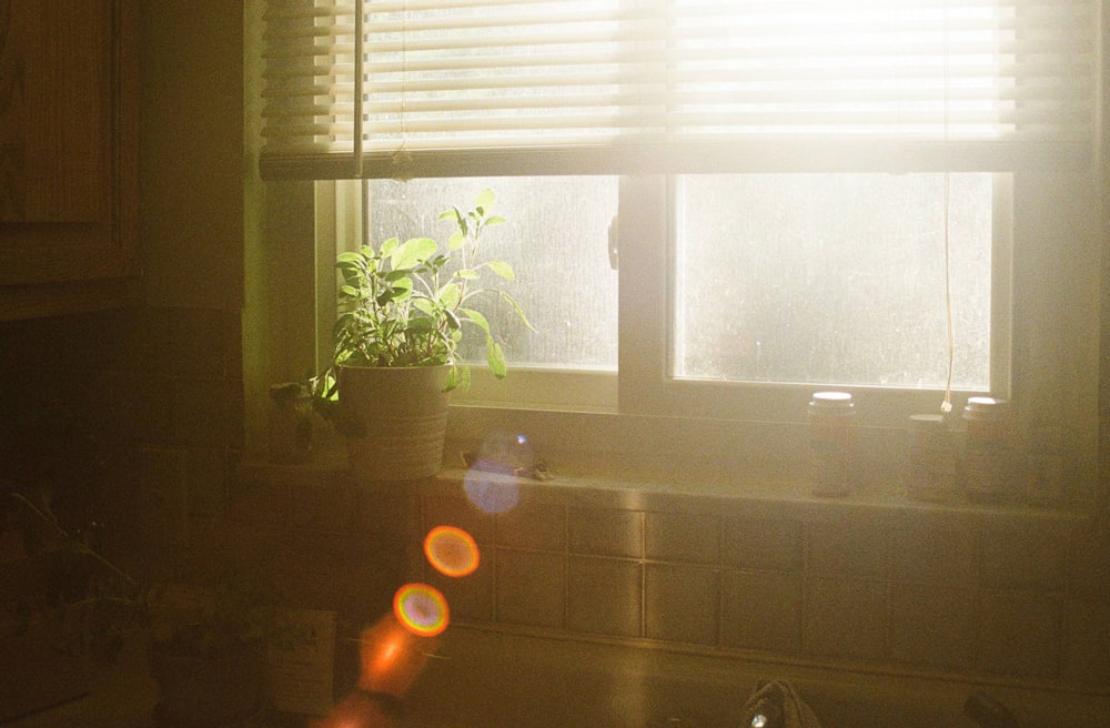 a kitchen window with the sun shining through the blinds