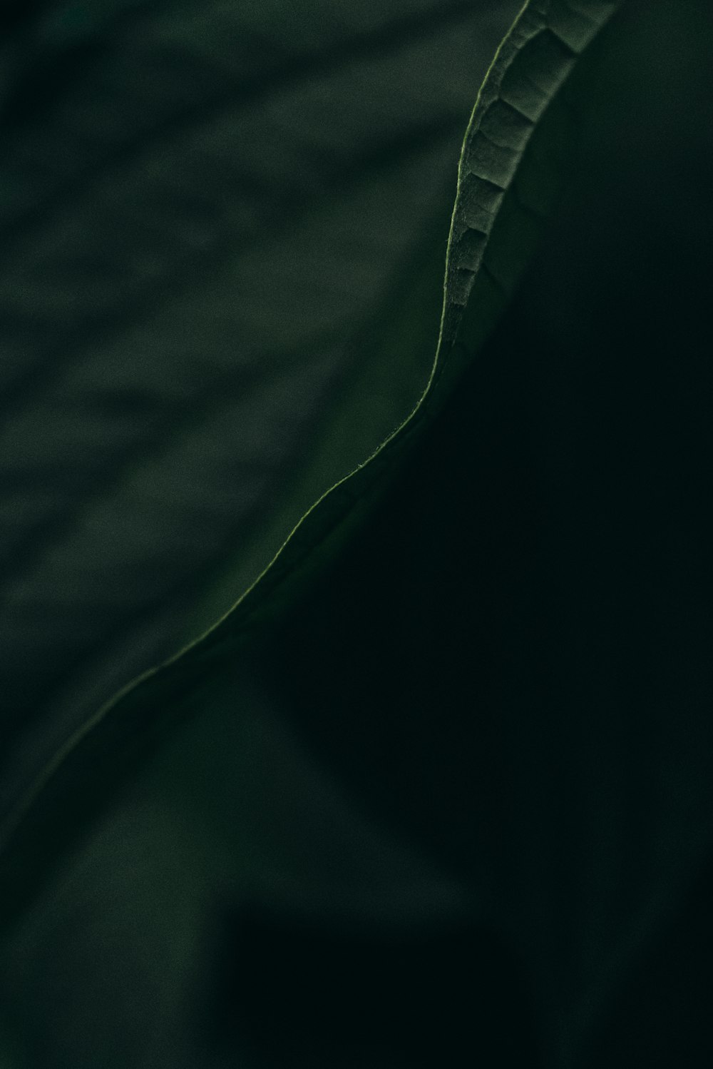 a close up of a person in a green shirt