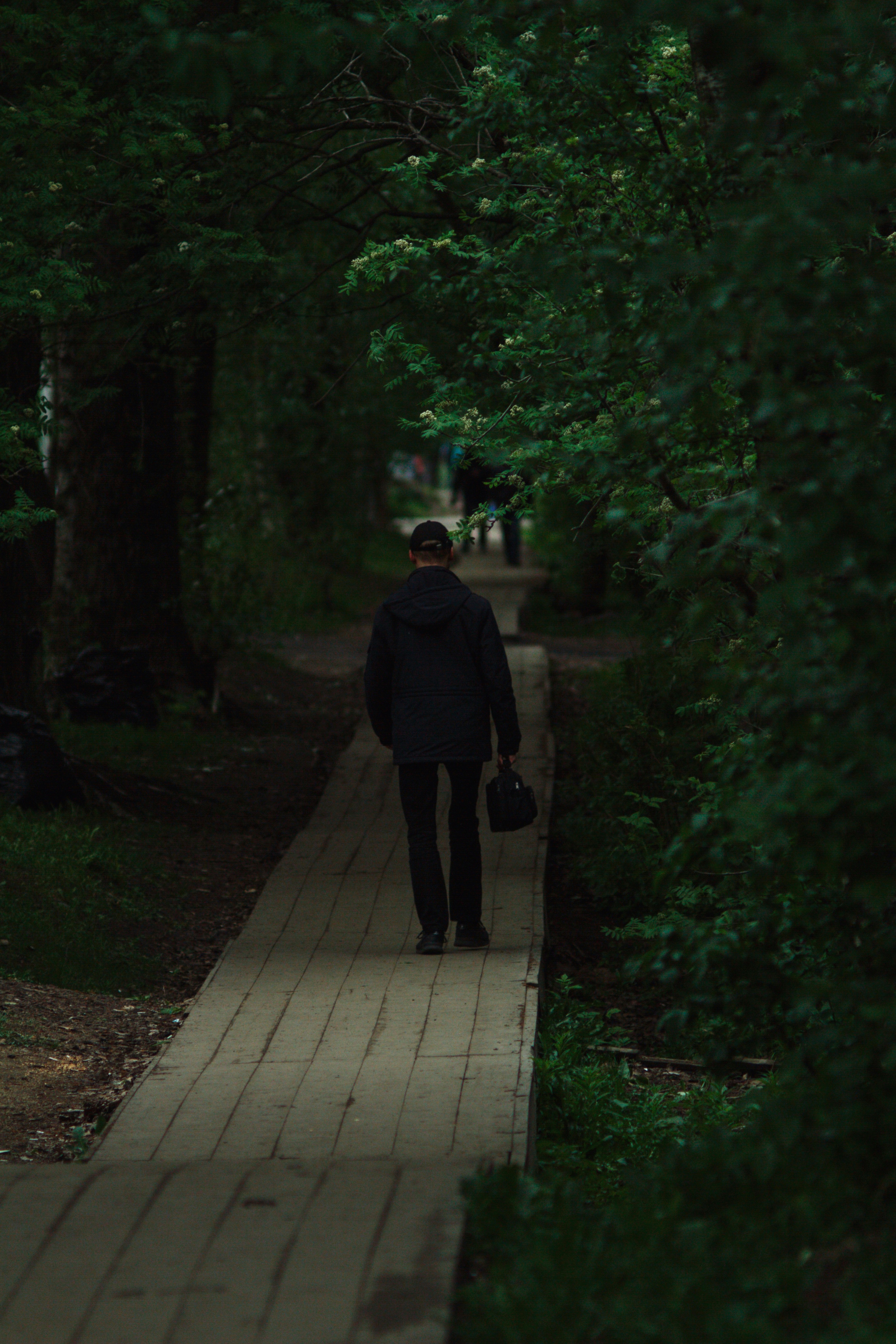 Photo by semirkhanovv