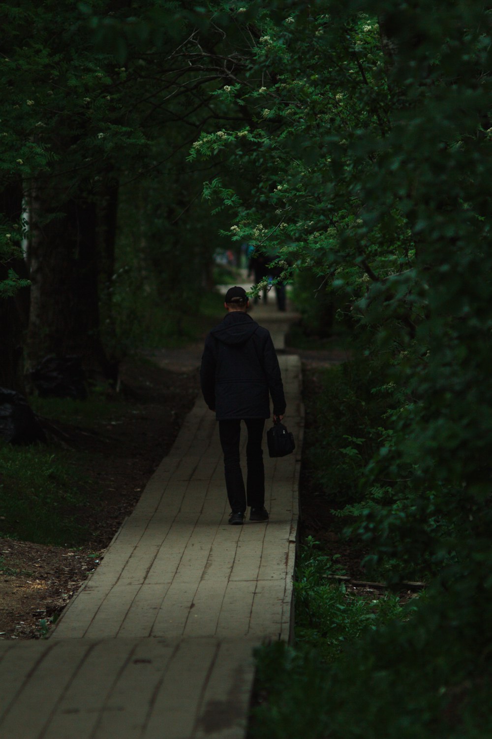 a man walking down a path in the woods