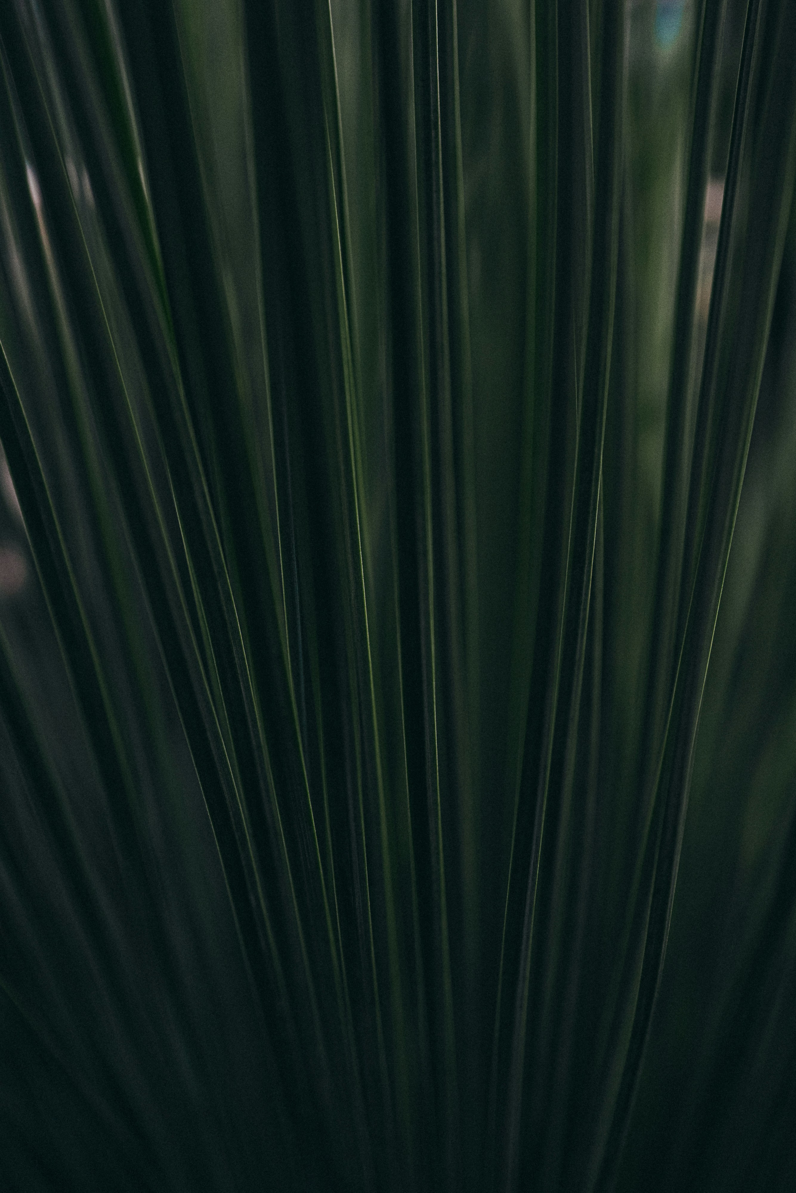 Photo by thommilkovic