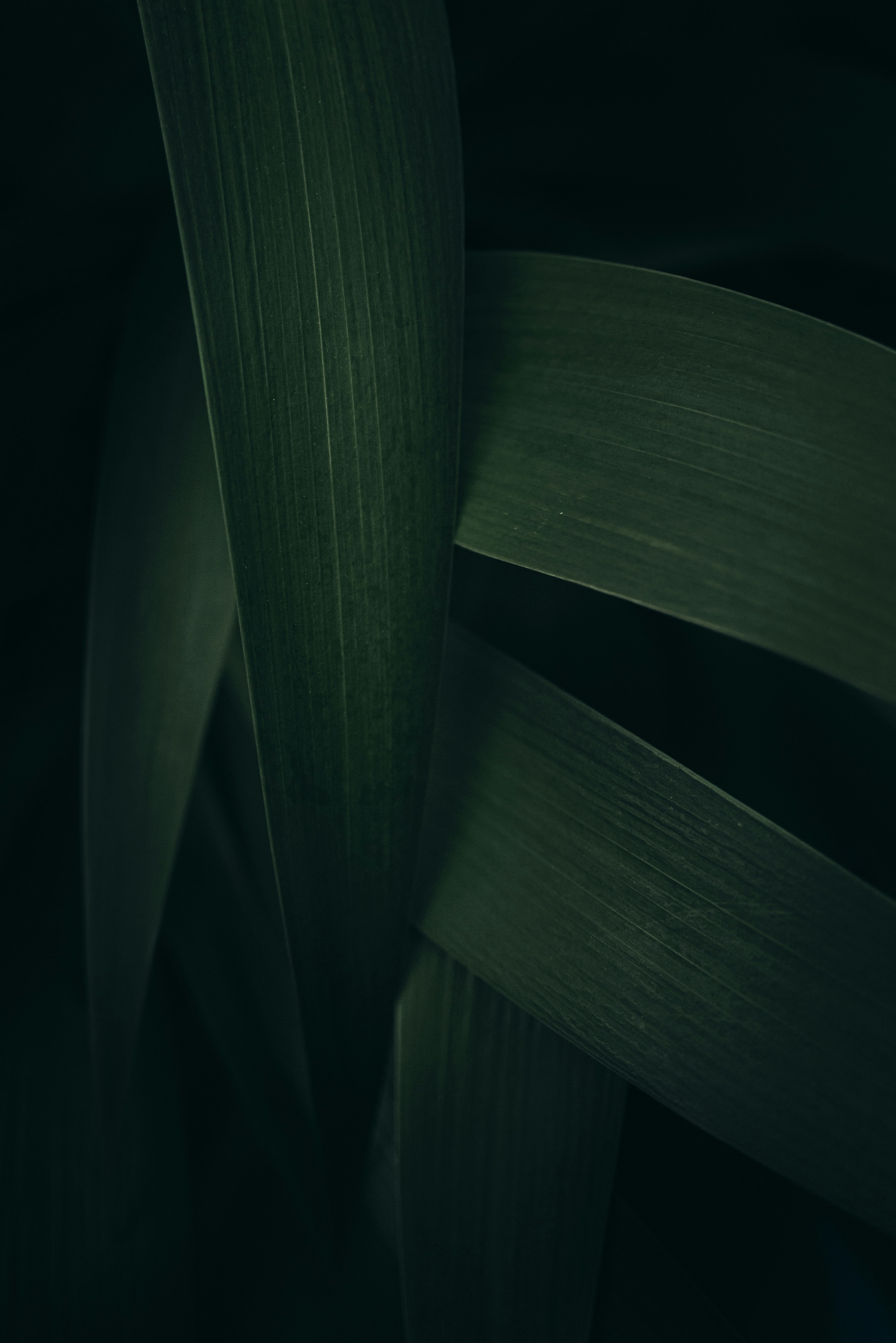 Photo by thommilkovic