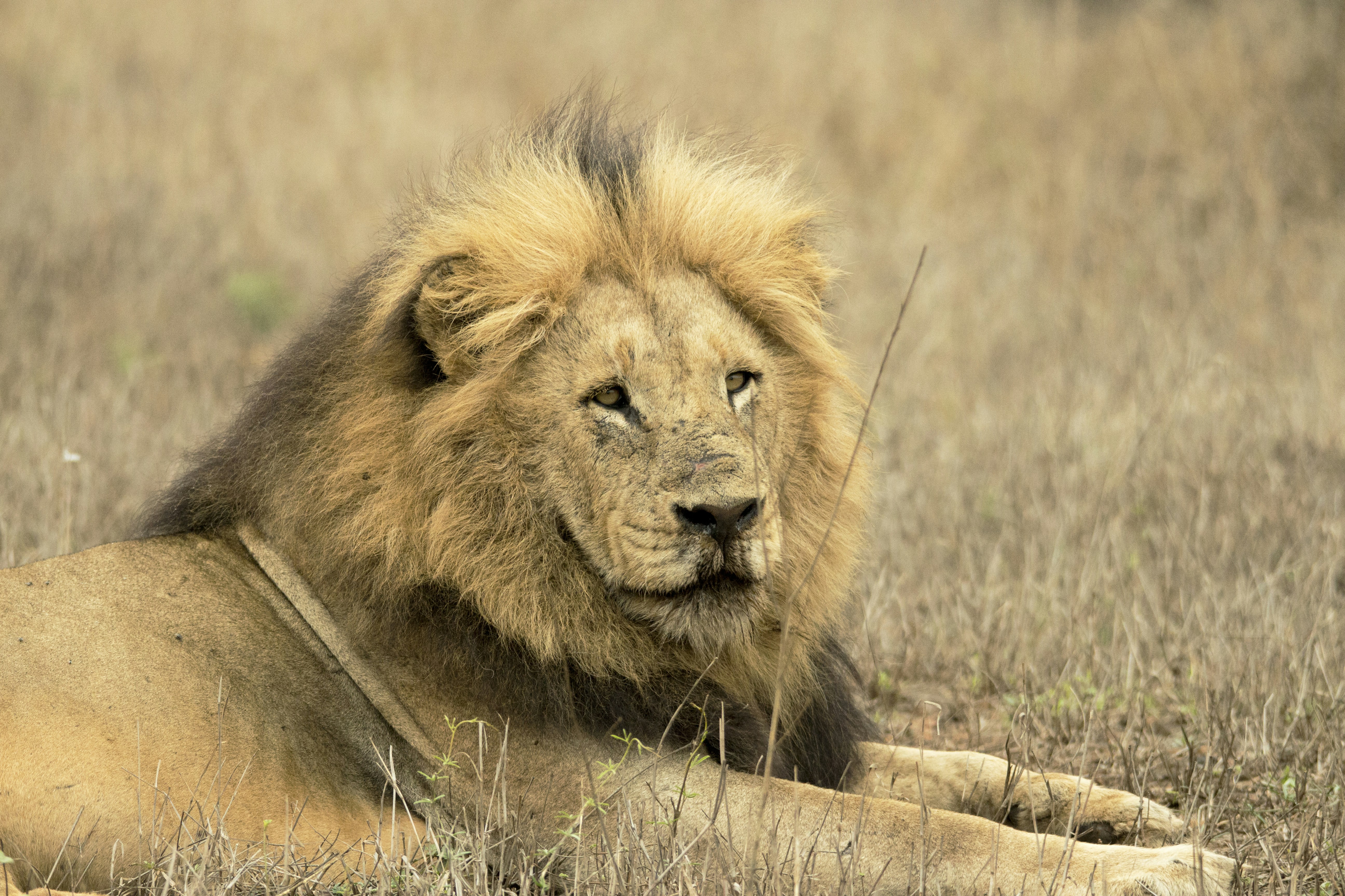 Photo by charmain123