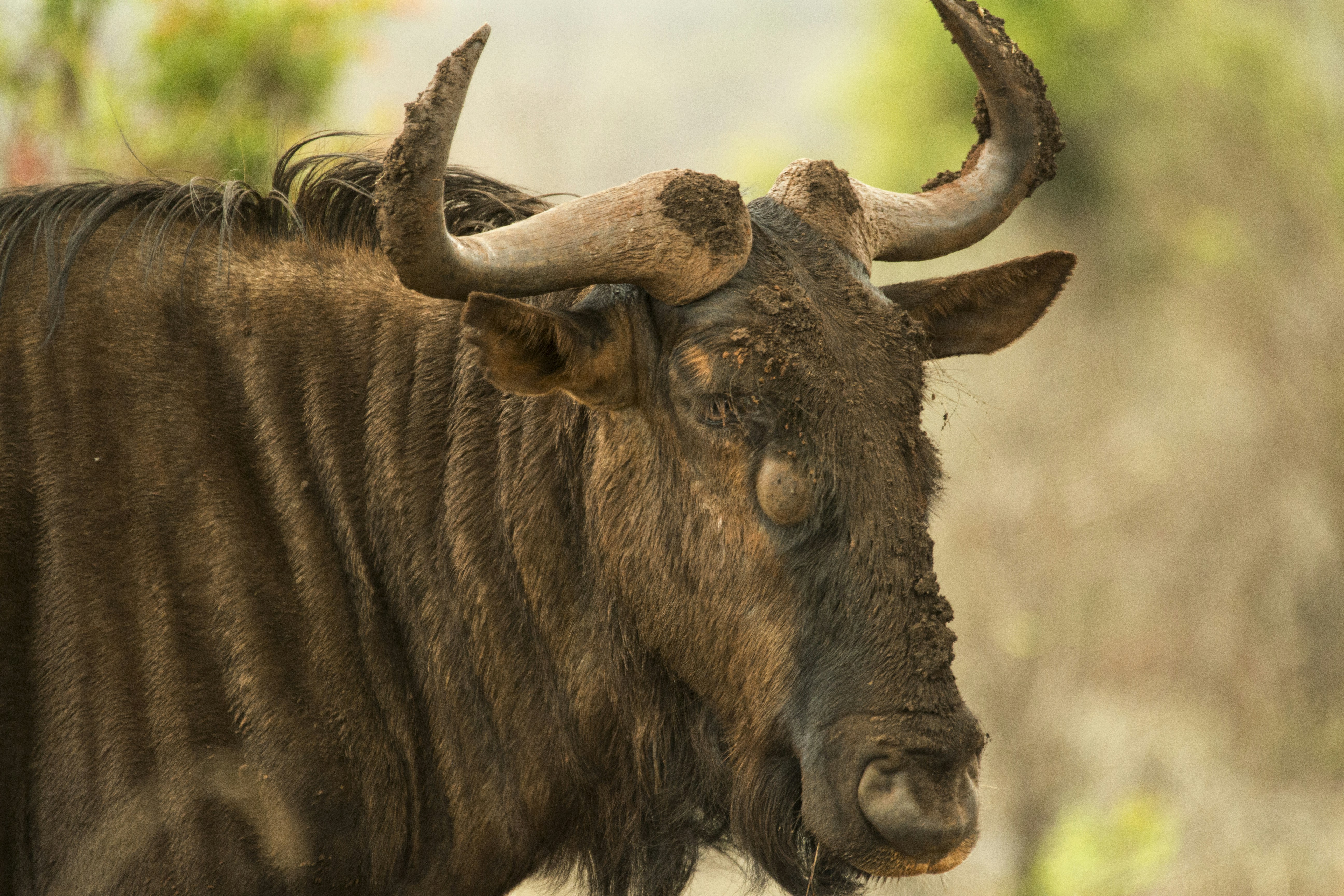 Photo by charmain123