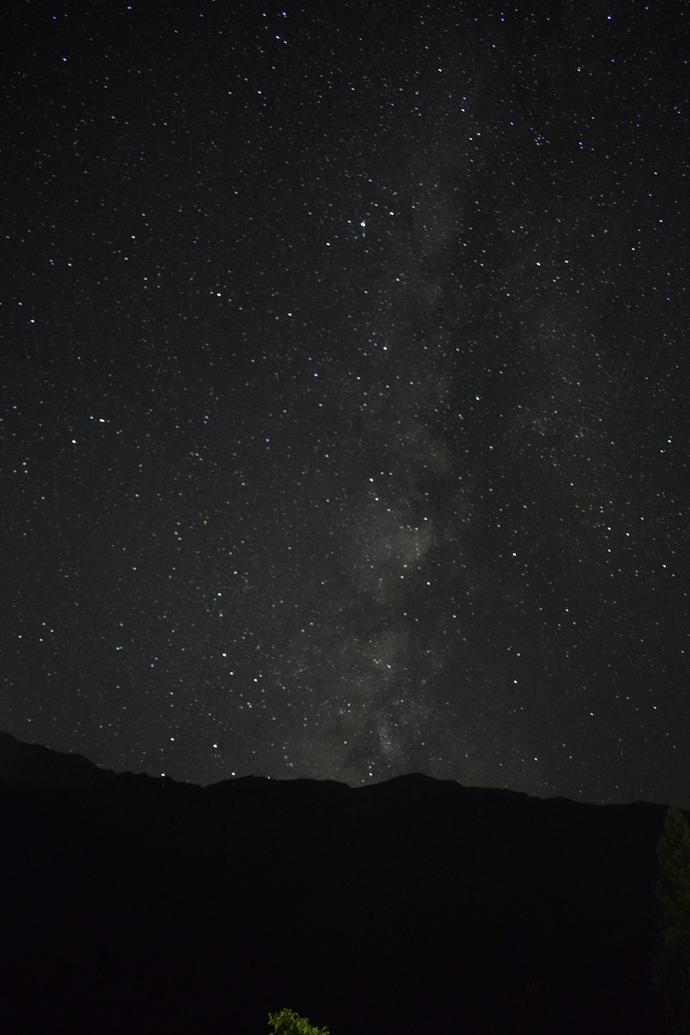 the night sky with stars and a tree in the foreground