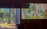 Large window framing a breathtaking view of the pine forest from the suite.