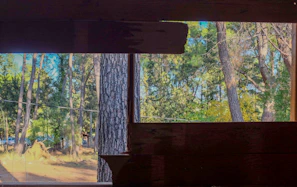 Large window framing a breathtaking view of the pine forest from the suite.