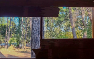 Freshly cleaned windows revealing a serene Ardennes forest view, blending nature and luxury.