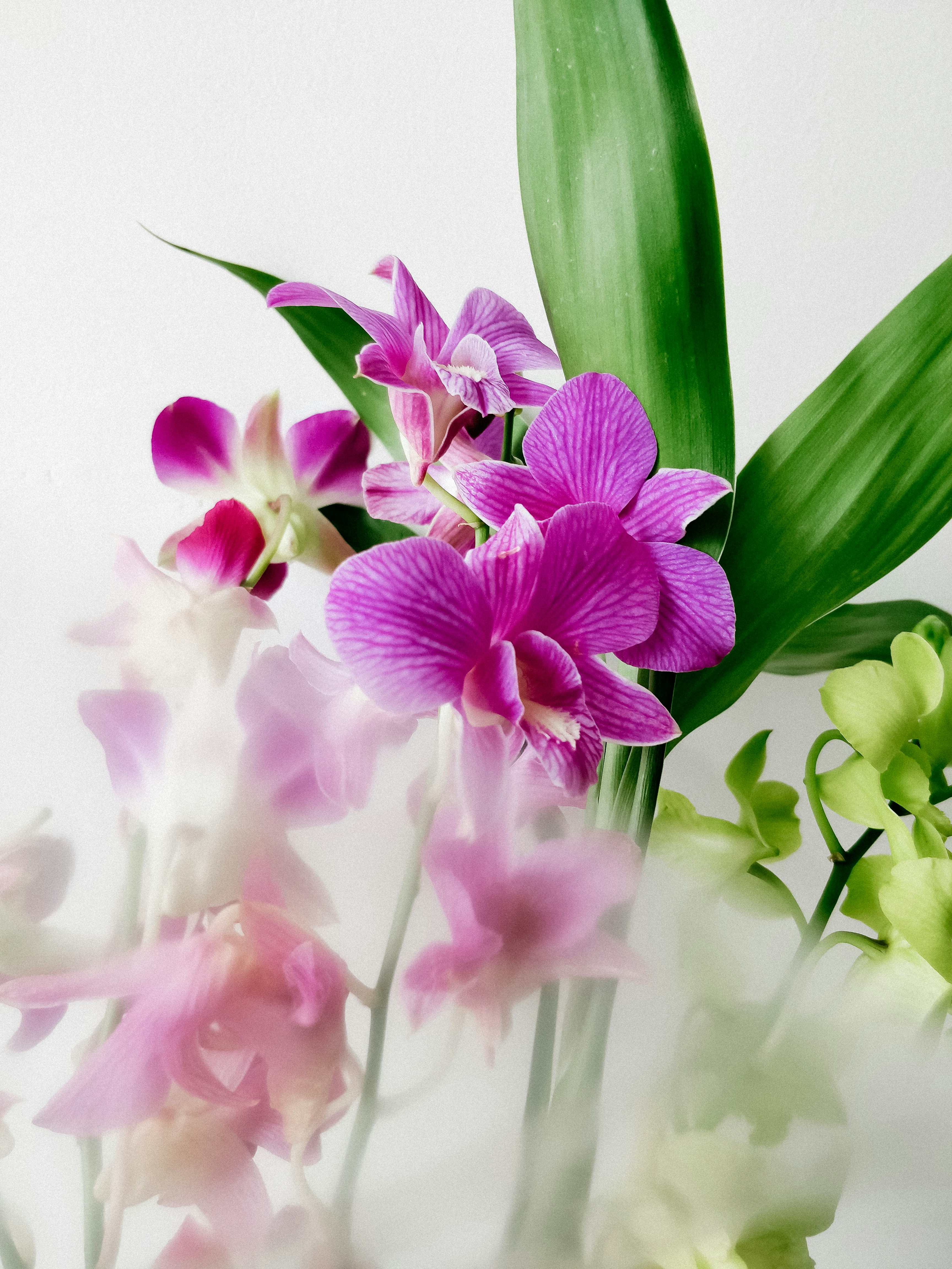 Photo by sylvianatanery