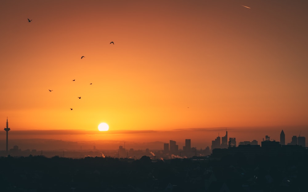 a sunset with birds flying in the sky