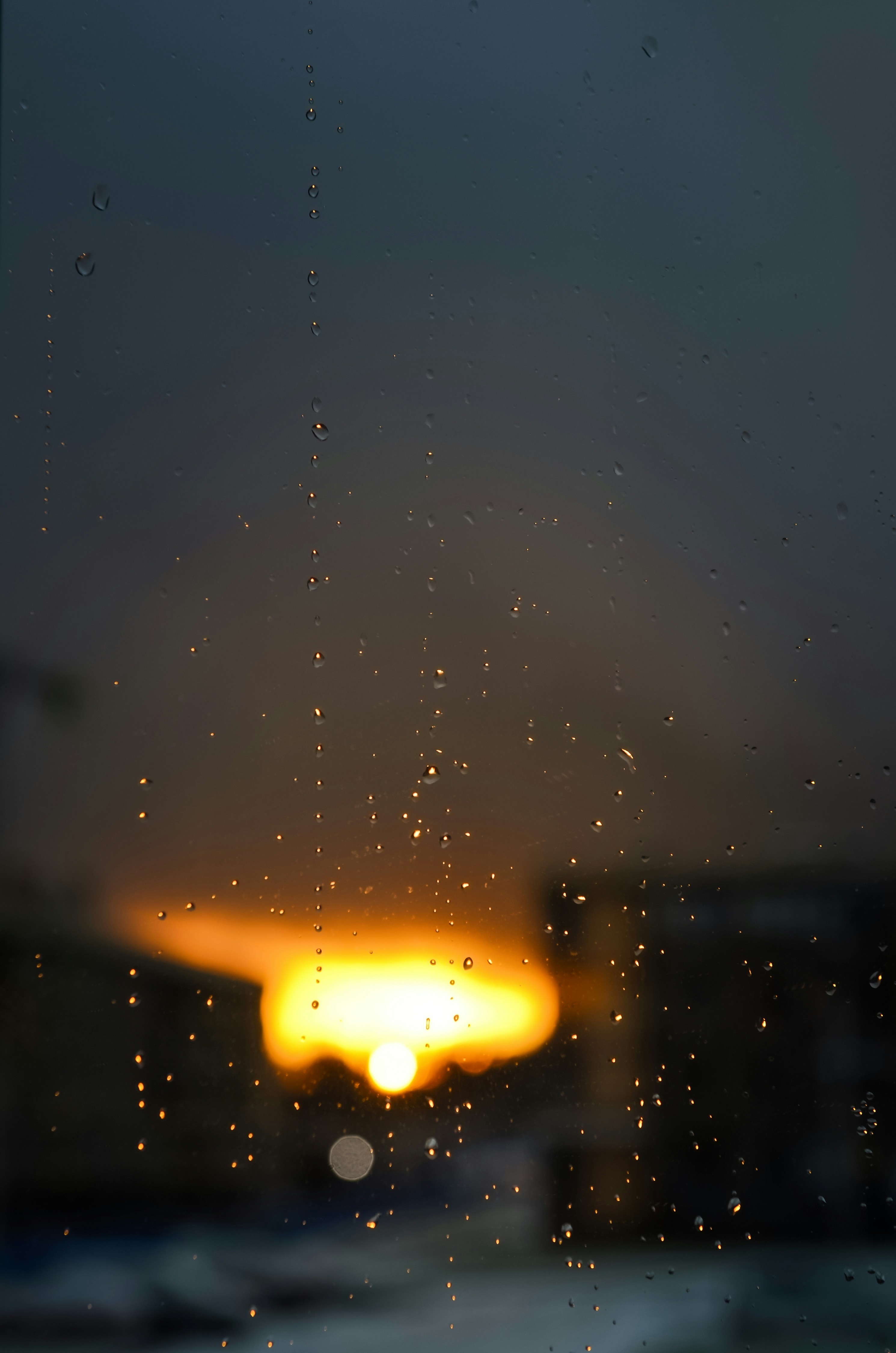 Photo by mariiagladysh