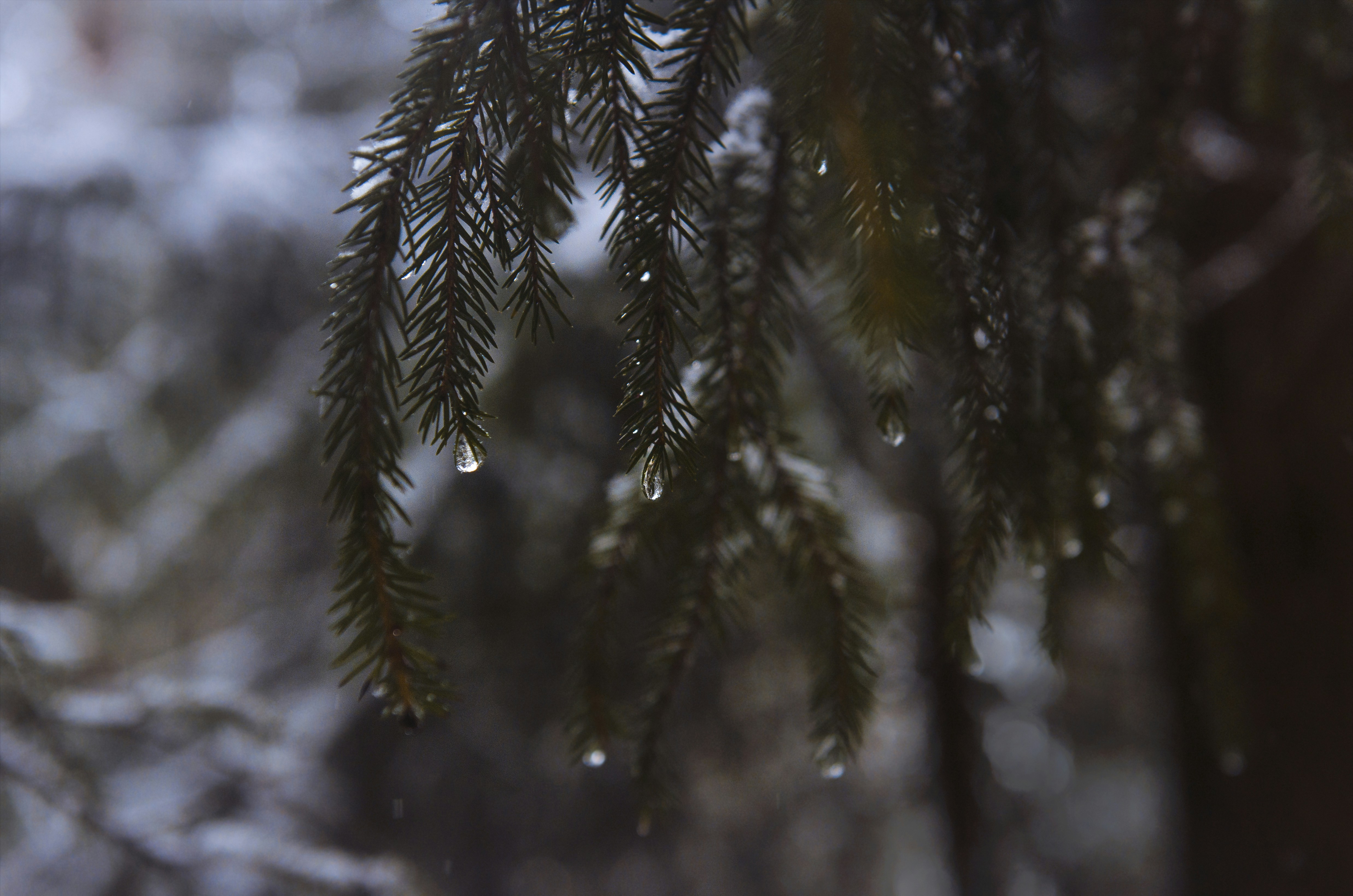 Photo by mariiagladysh