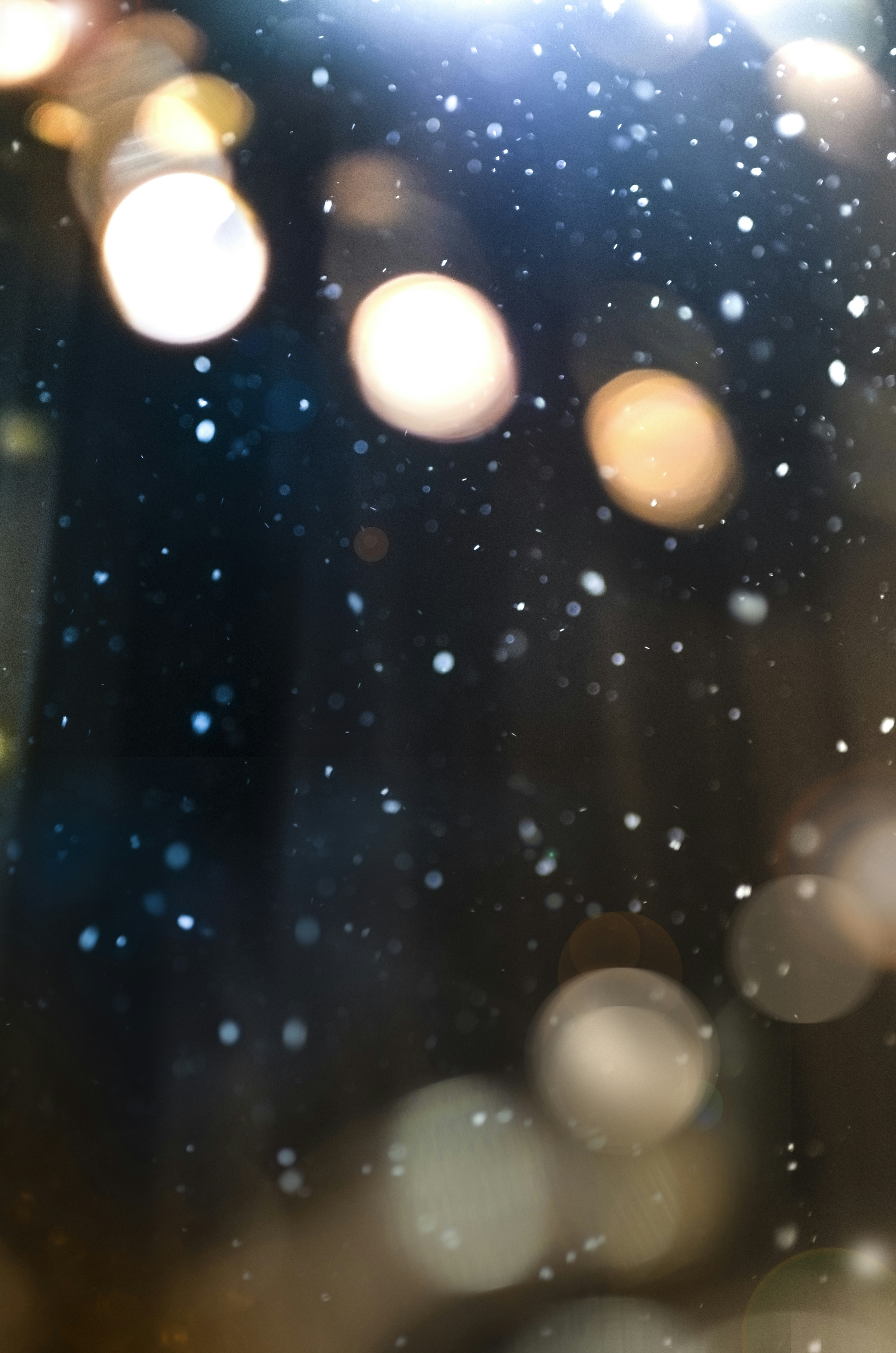 Photo by mariiagladysh