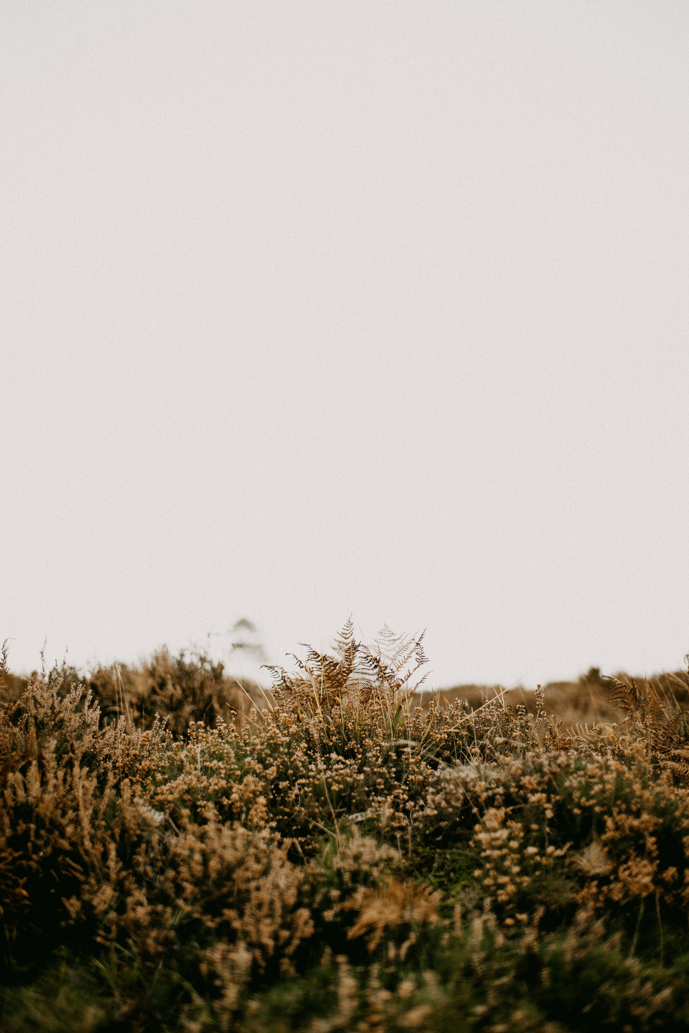 Photo by anniespratt