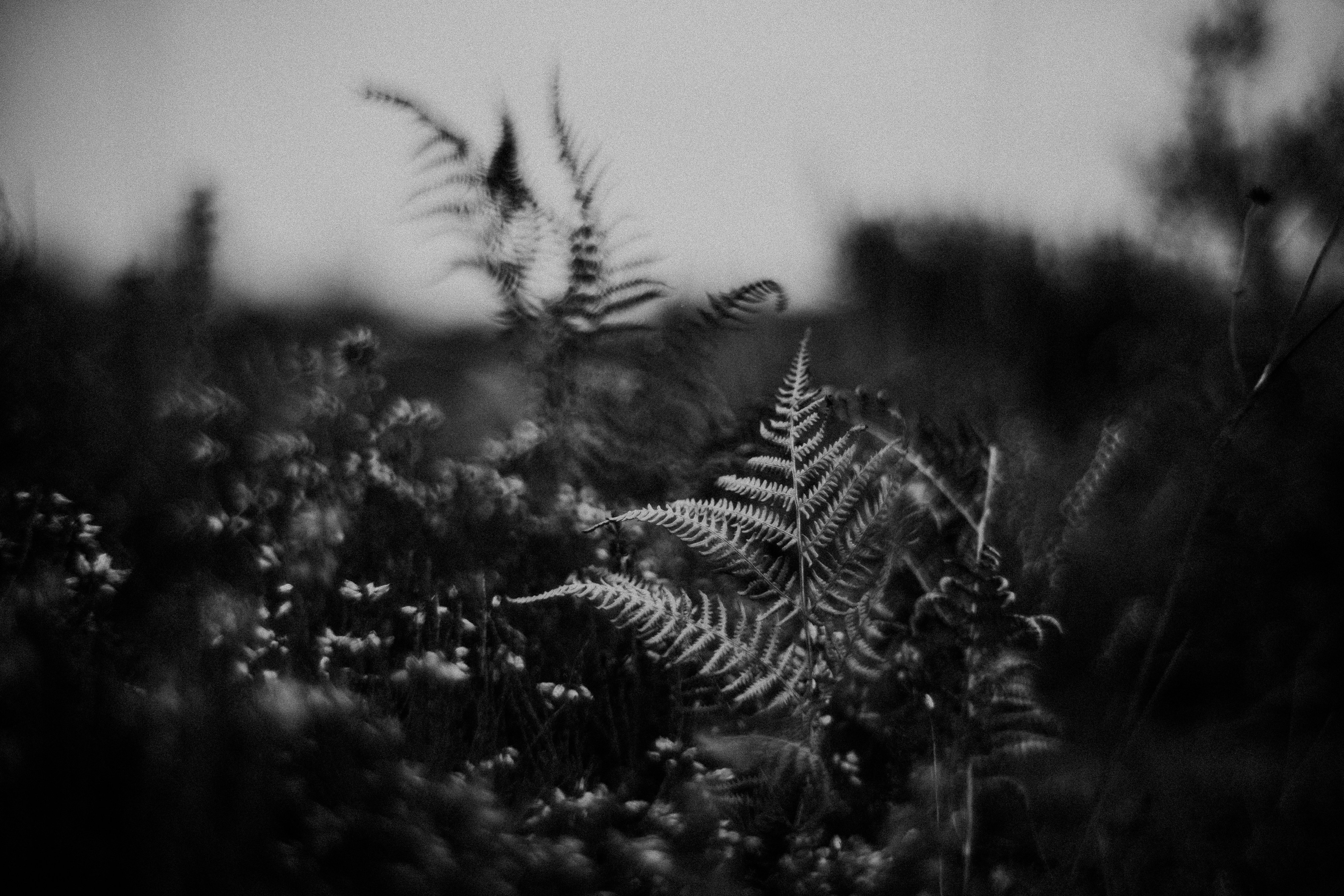 Photo by anniespratt