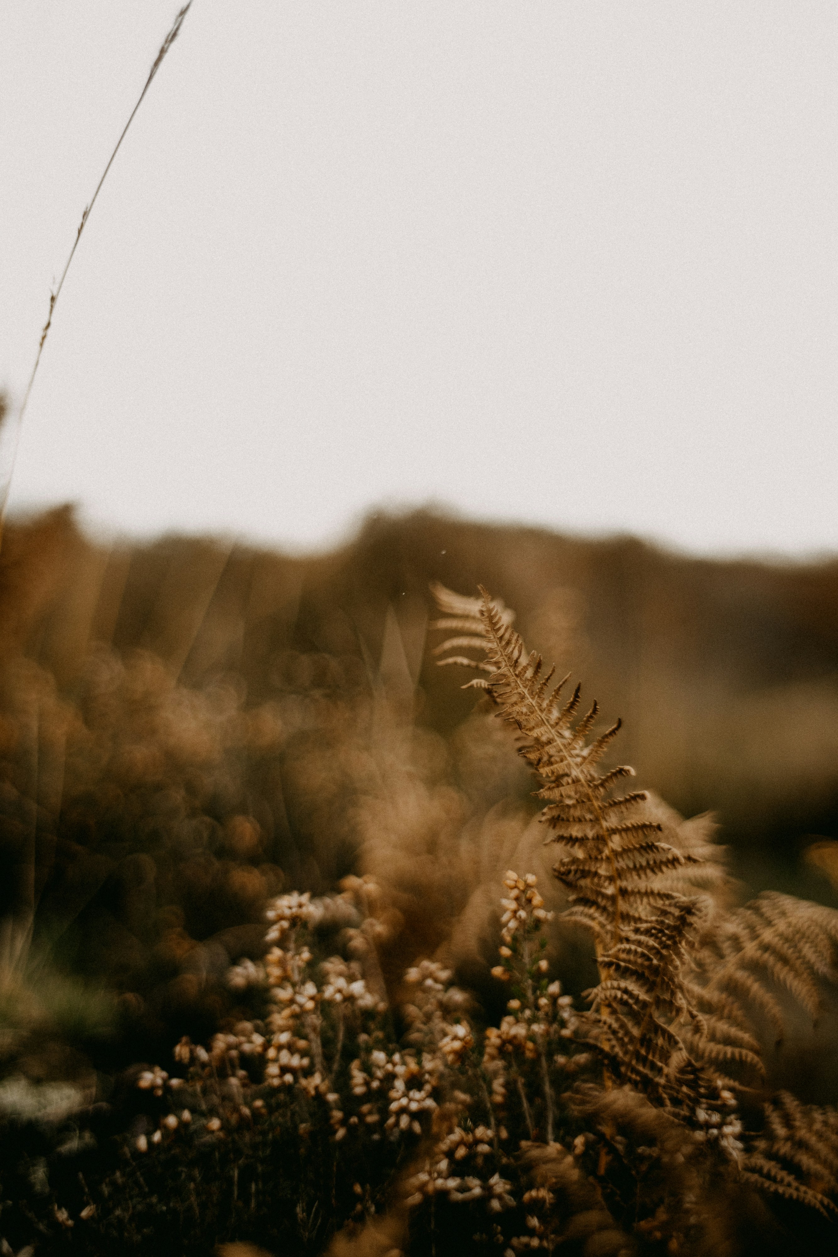 Photo by anniespratt