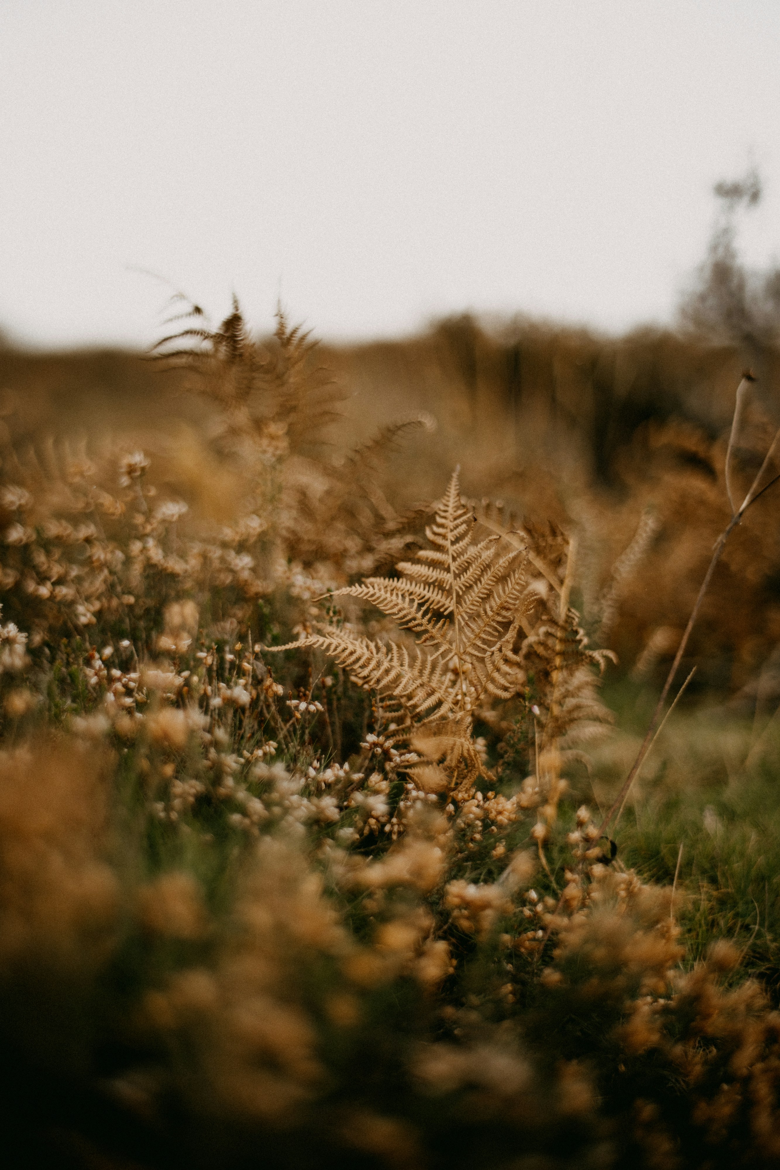 Photo by anniespratt