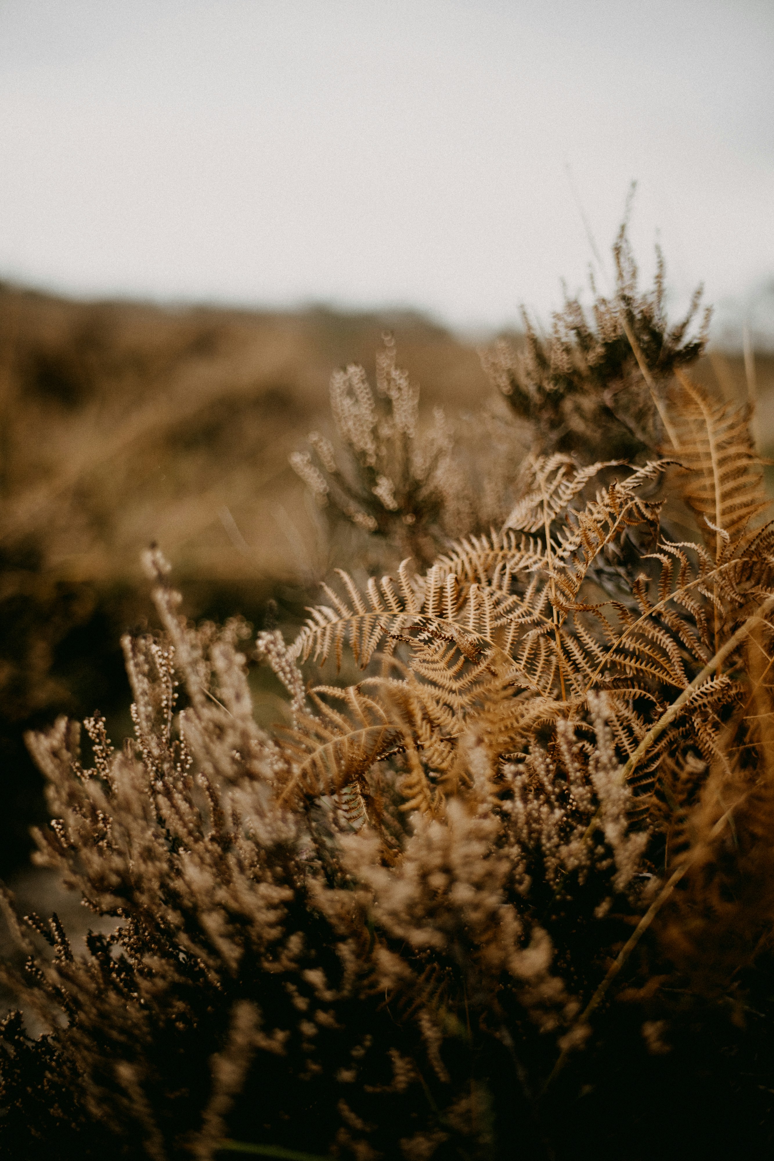 Photo by anniespratt