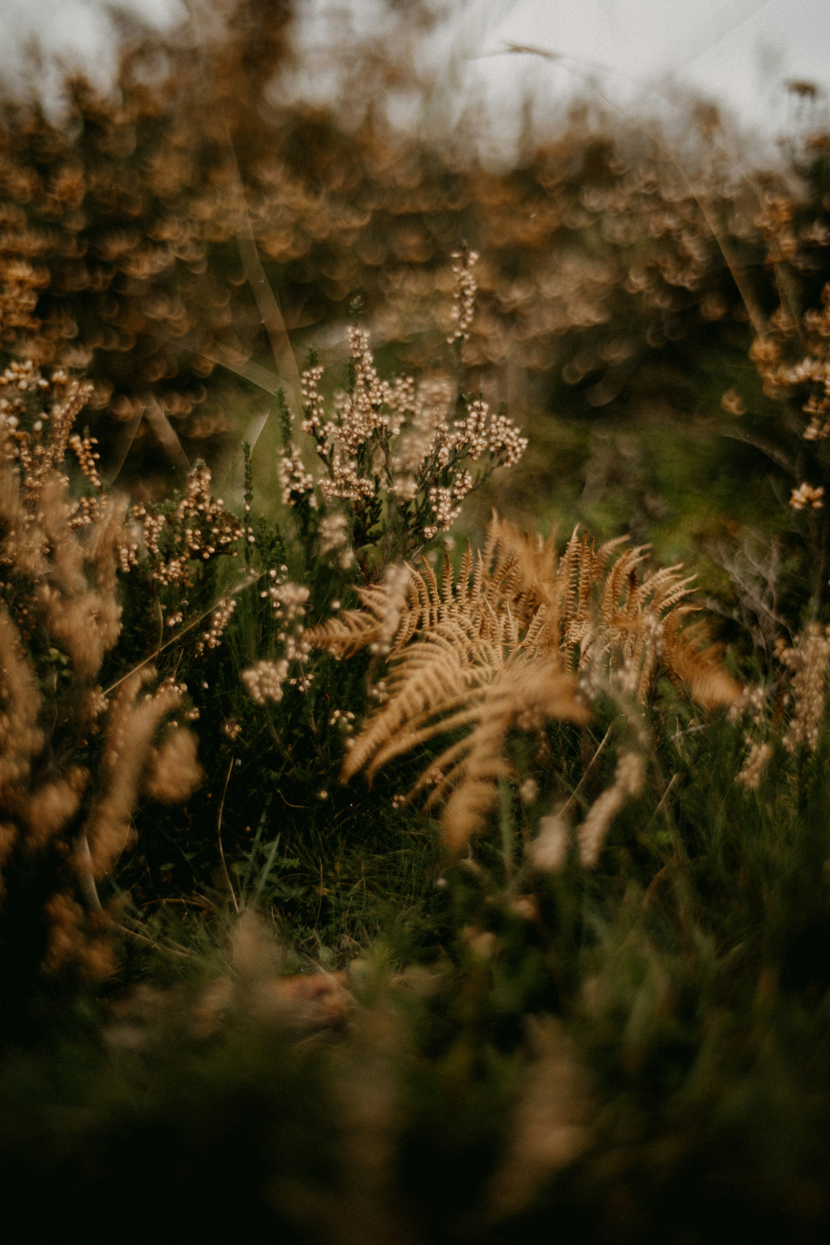 Photo by anniespratt