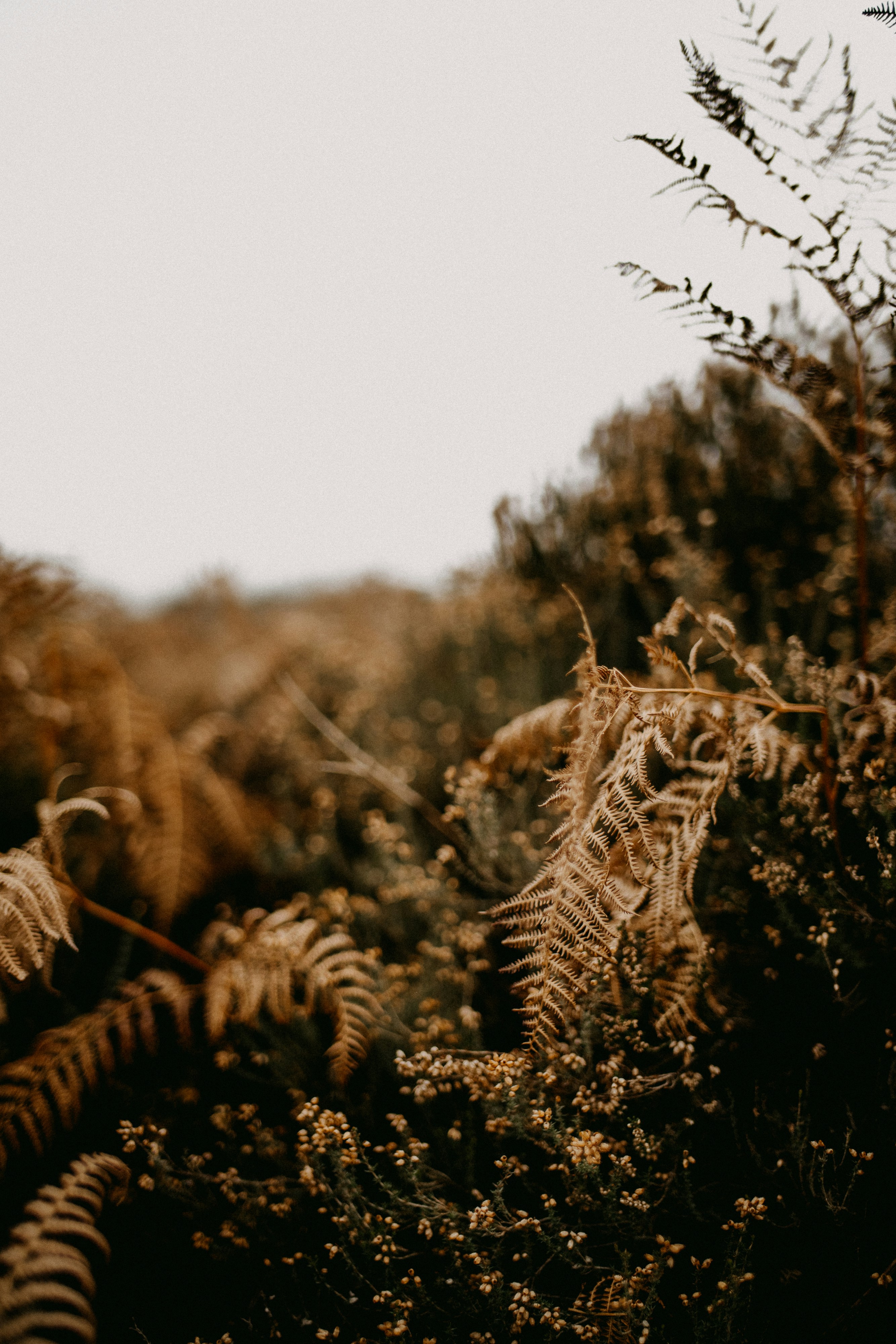 Photo by anniespratt