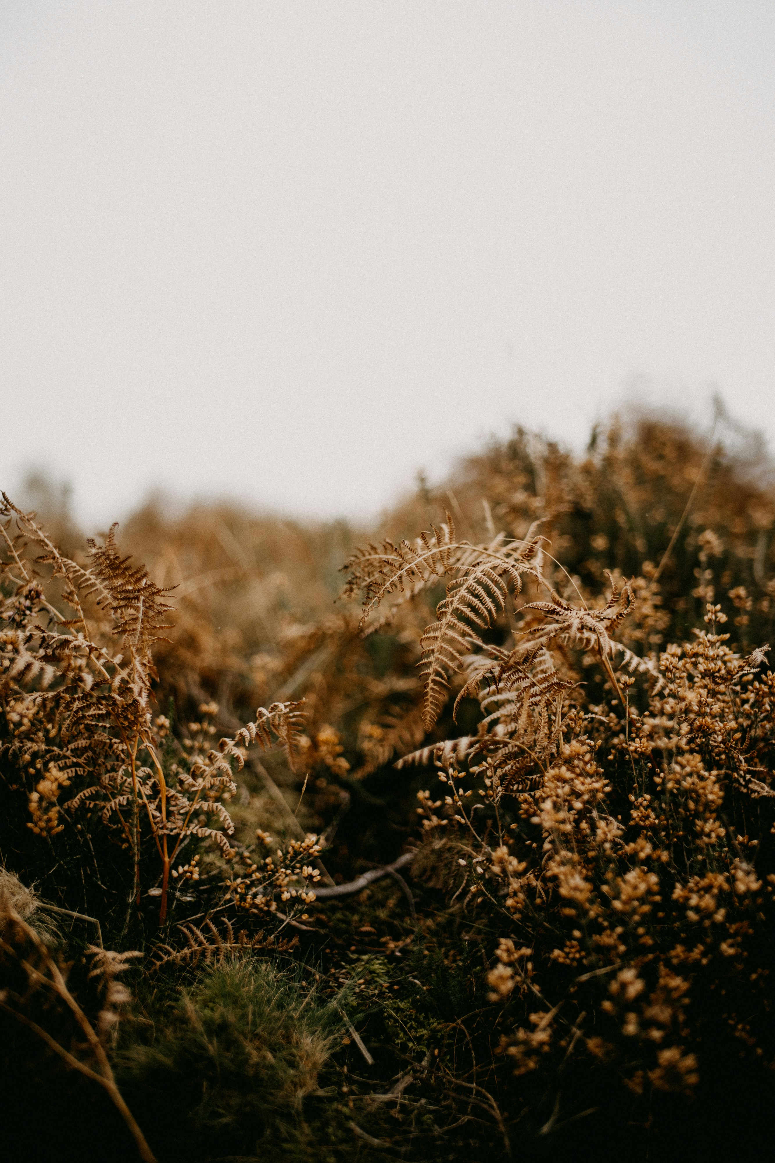 Photo by anniespratt