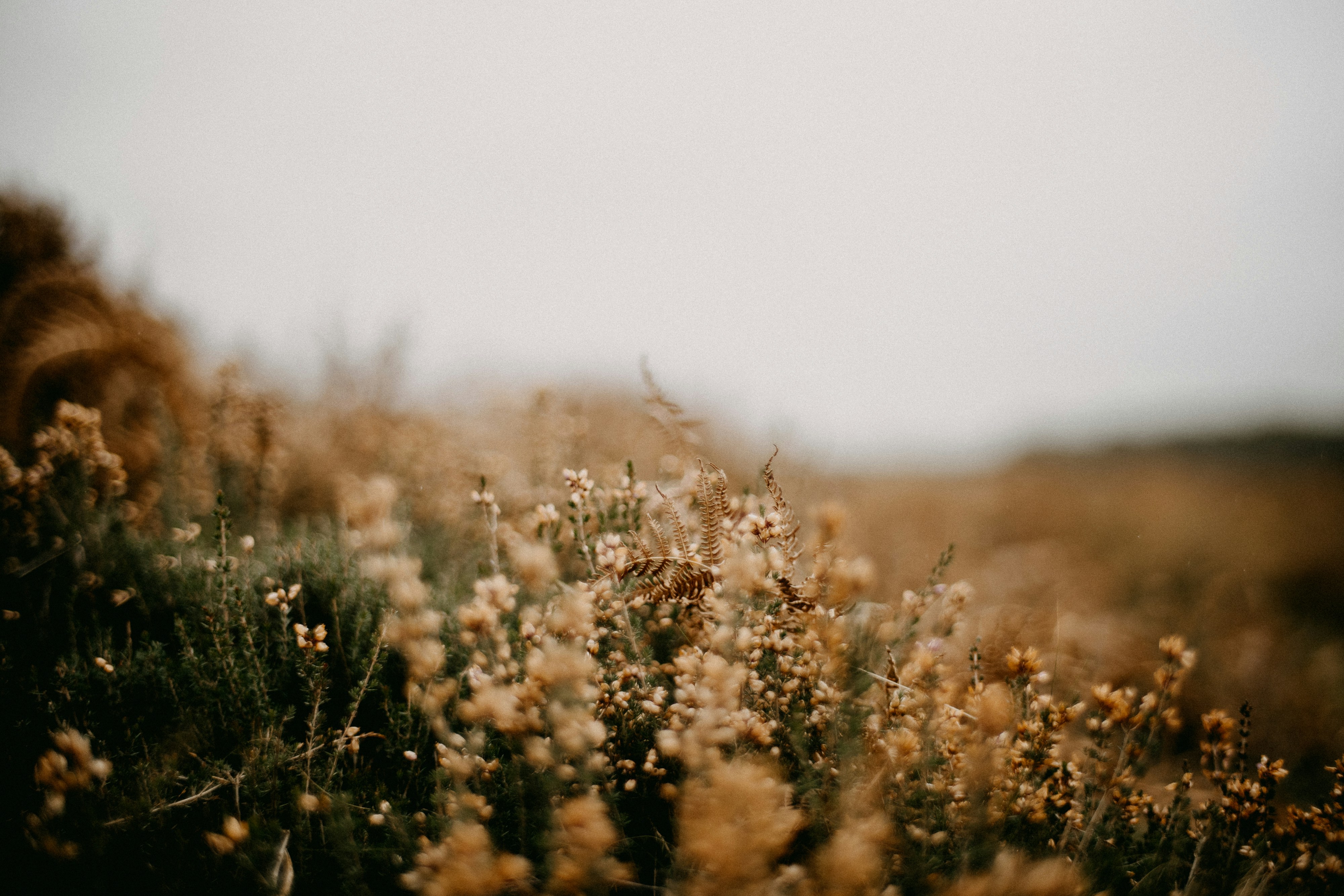 Photo by anniespratt